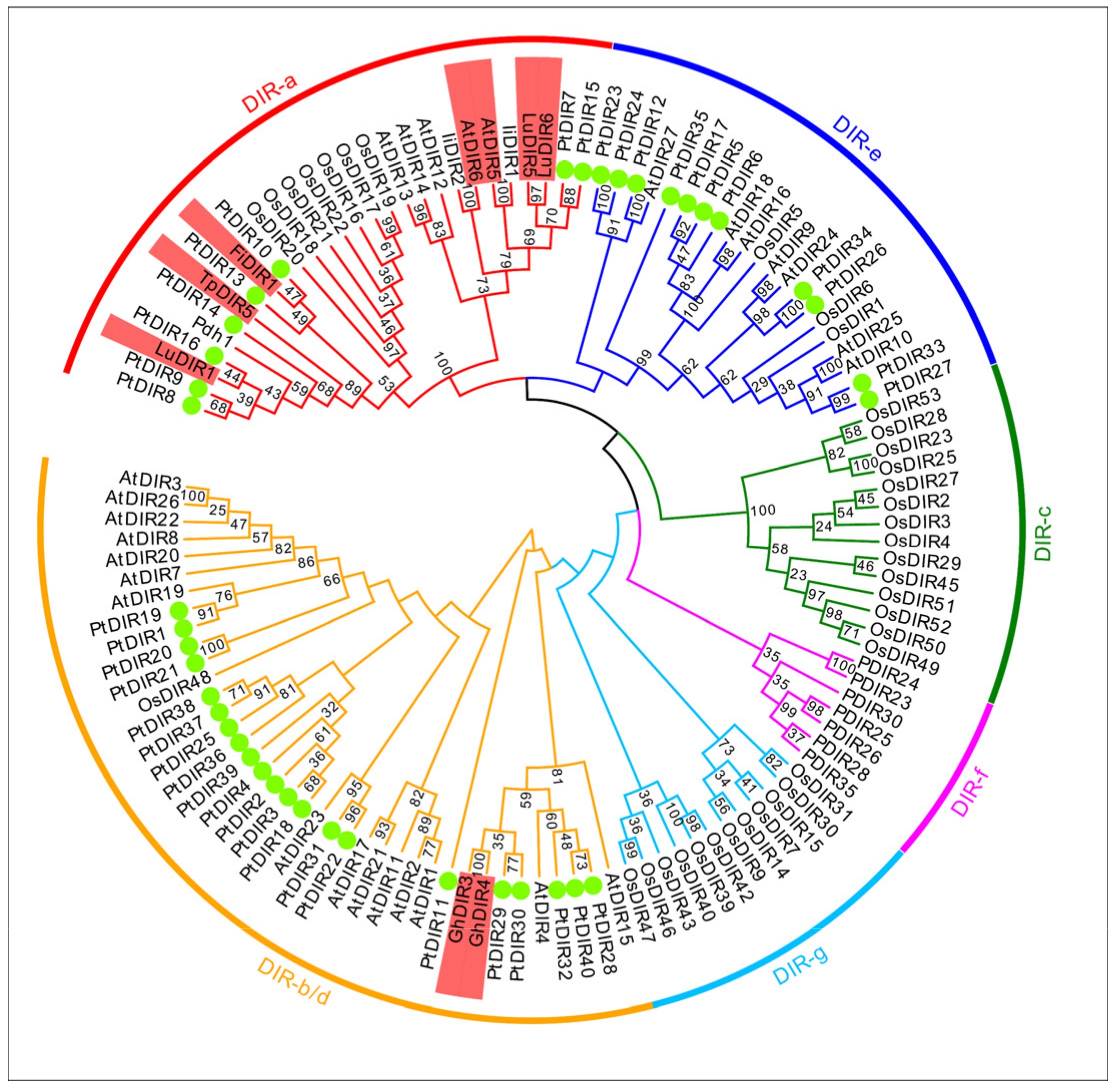 Forests 12 00507 g001 Forests 12 00507 g001