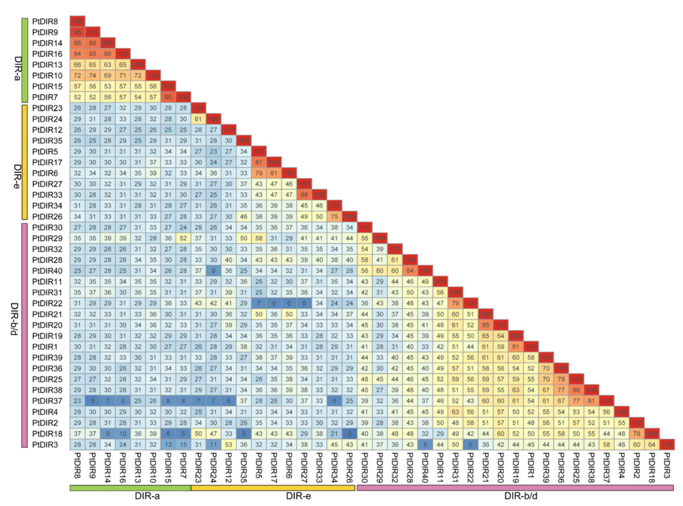 Forests 12 00507 g002 Forests 12 00507 g002