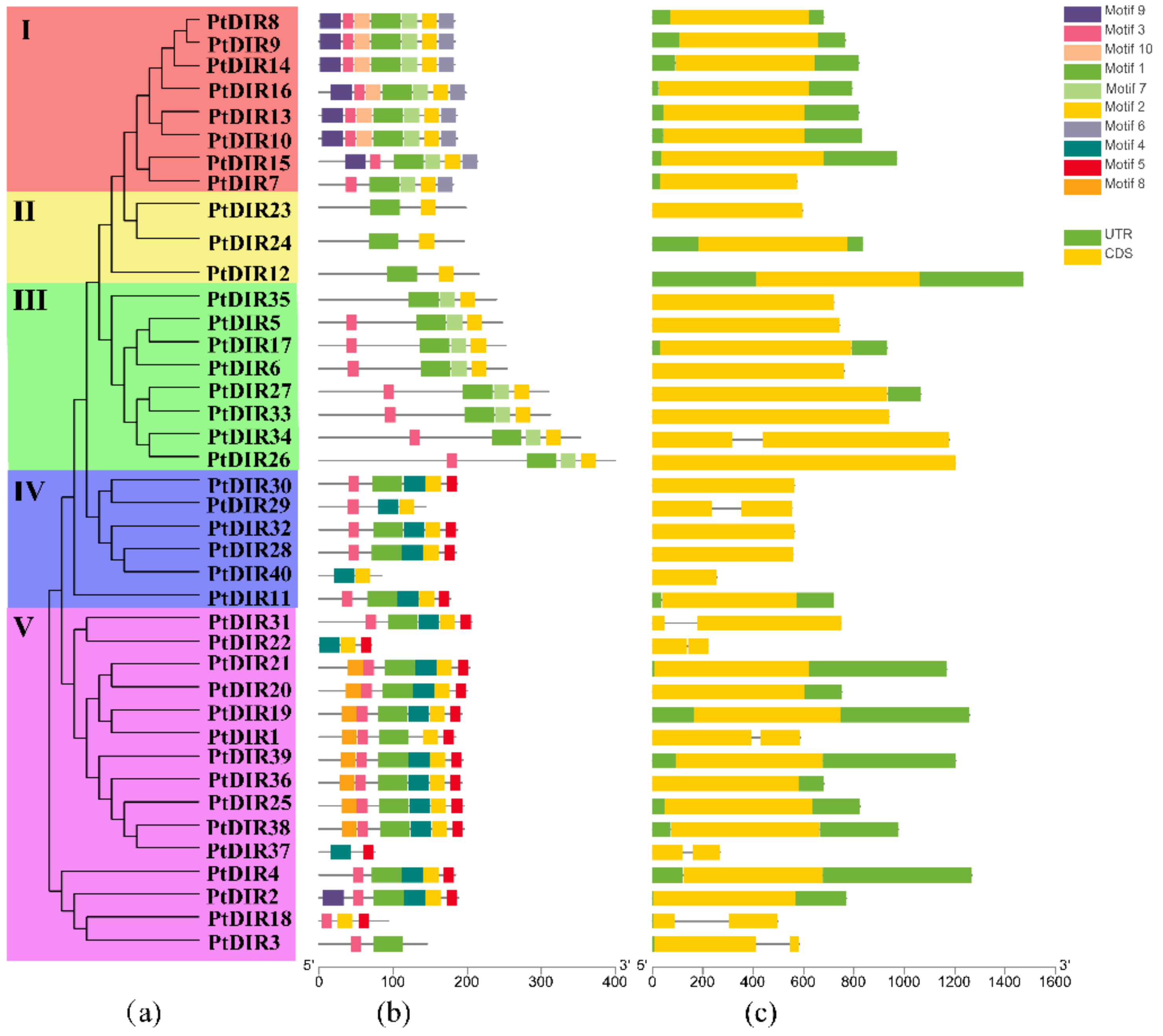 Forests 12 00507 g003 Forests 12 00507 g003