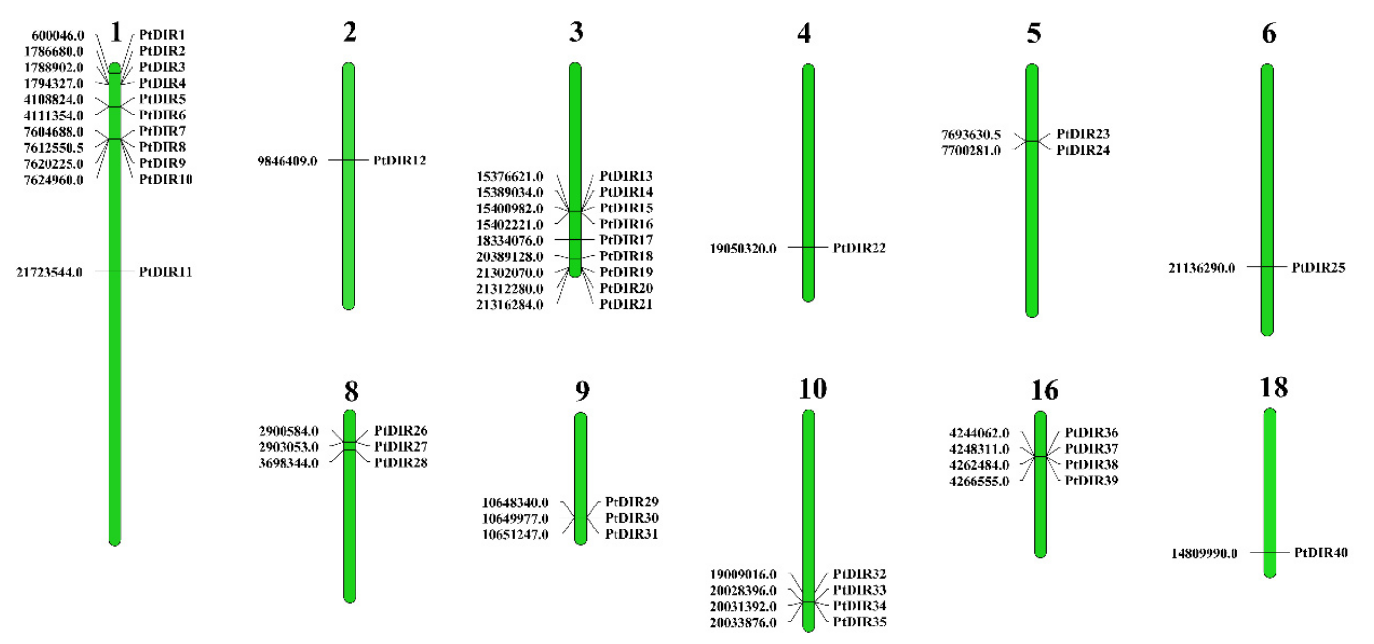 Forests 12 00507 g004 Forests 12 00507 g004