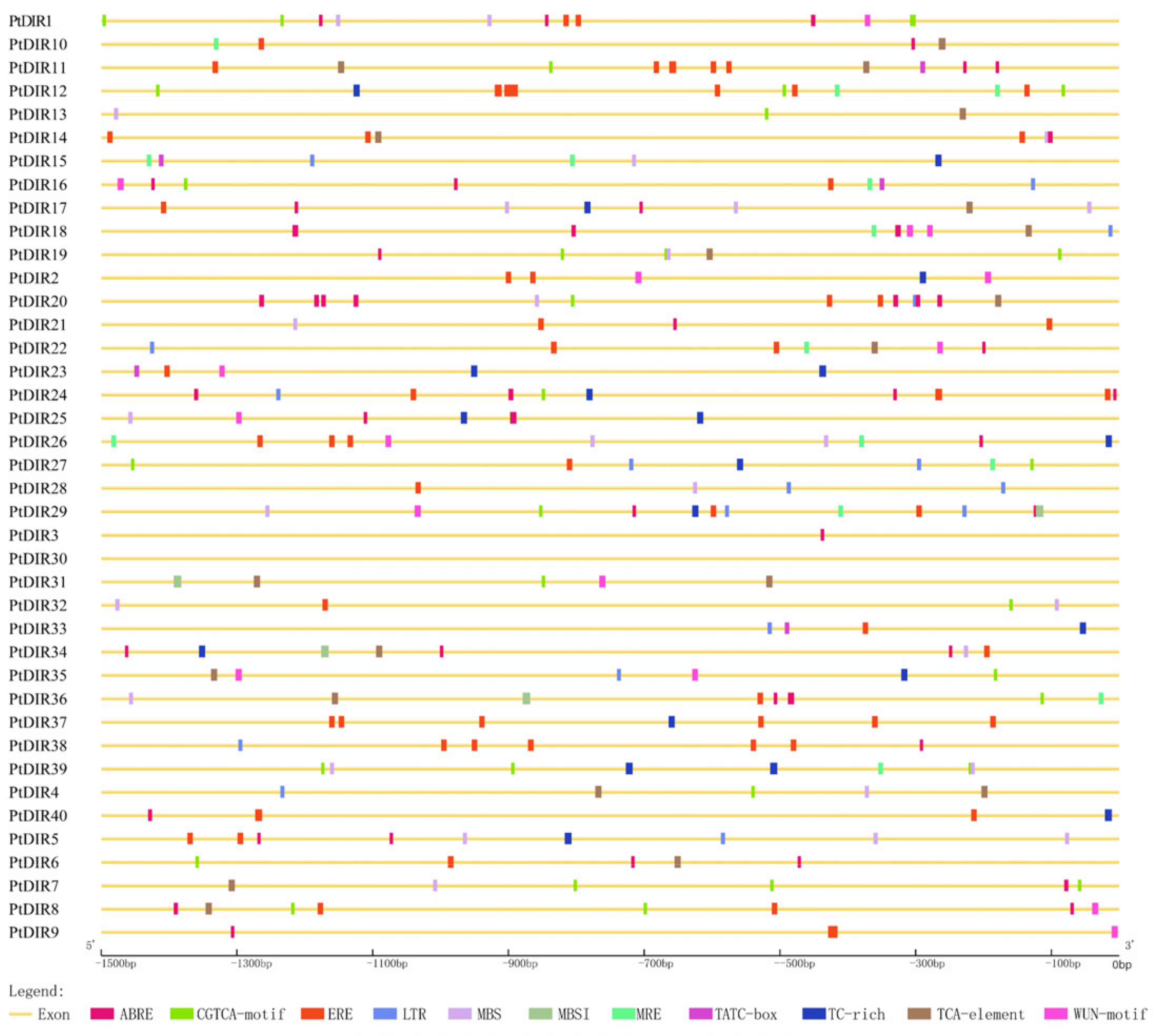 Forests 12 00507 g005 Forests 12 00507 g005