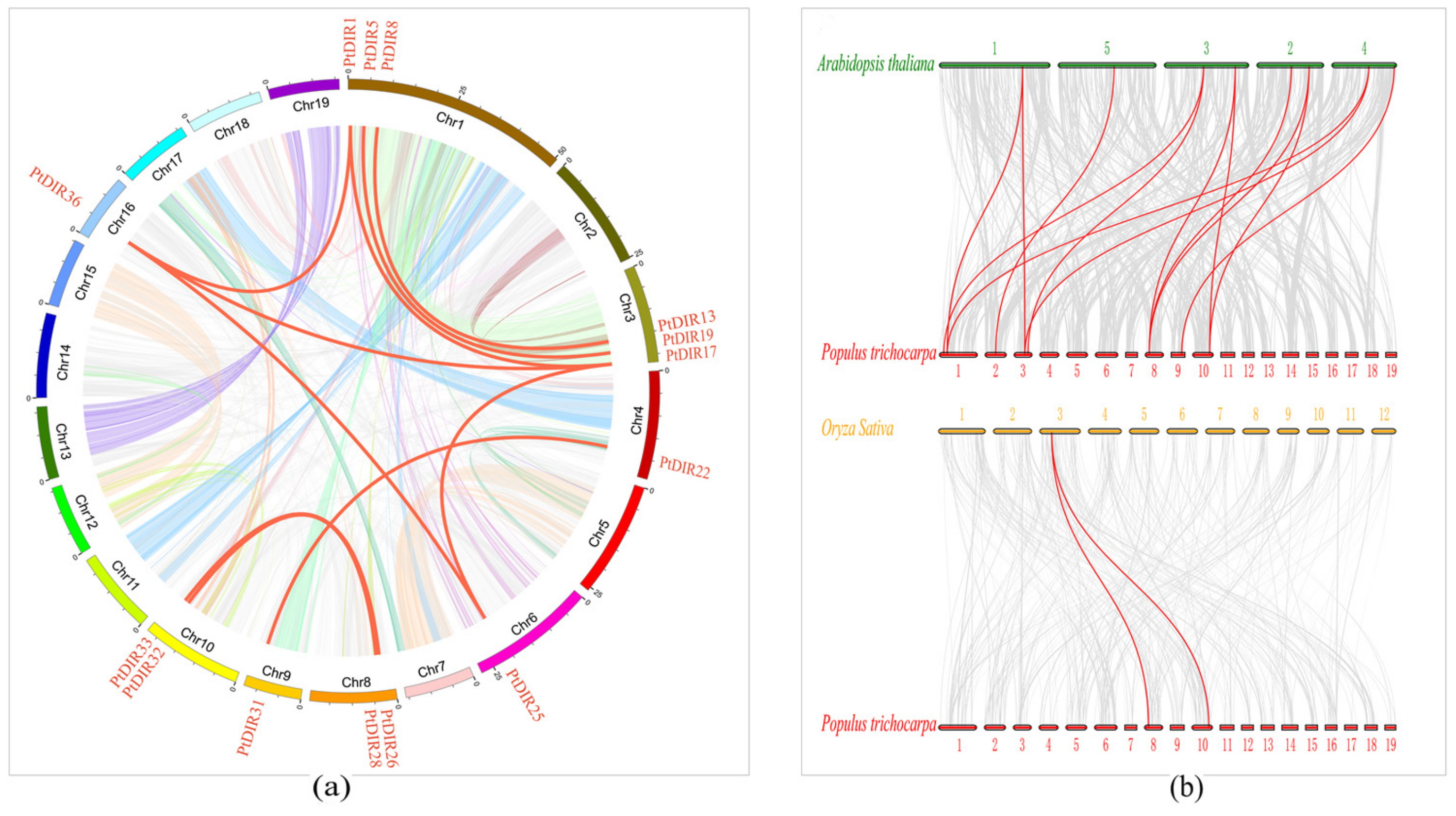 Forests 12 00507 g006 Forests 12 00507 g006