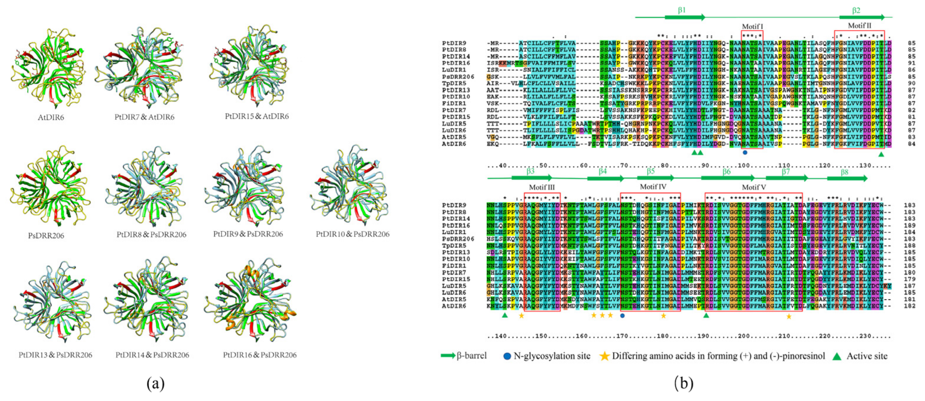 Forests 12 00507 g007 Forests 12 00507 g007