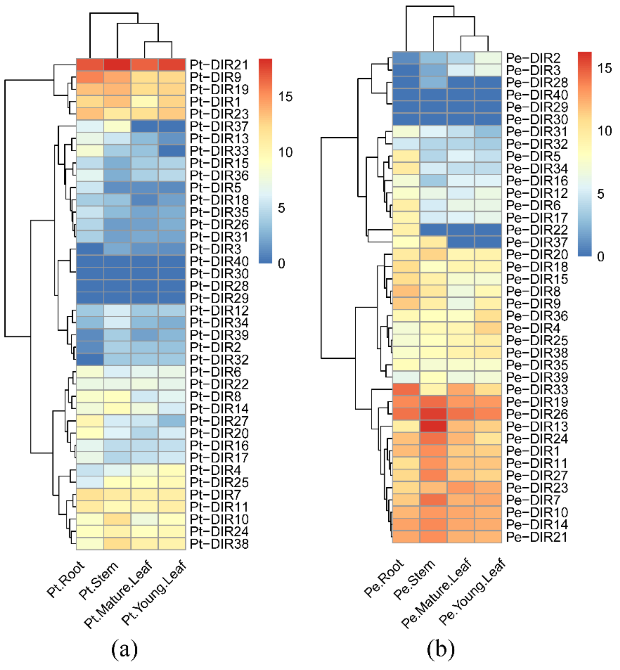 Forests 12 00507 g008 Forests 12 00507 g008