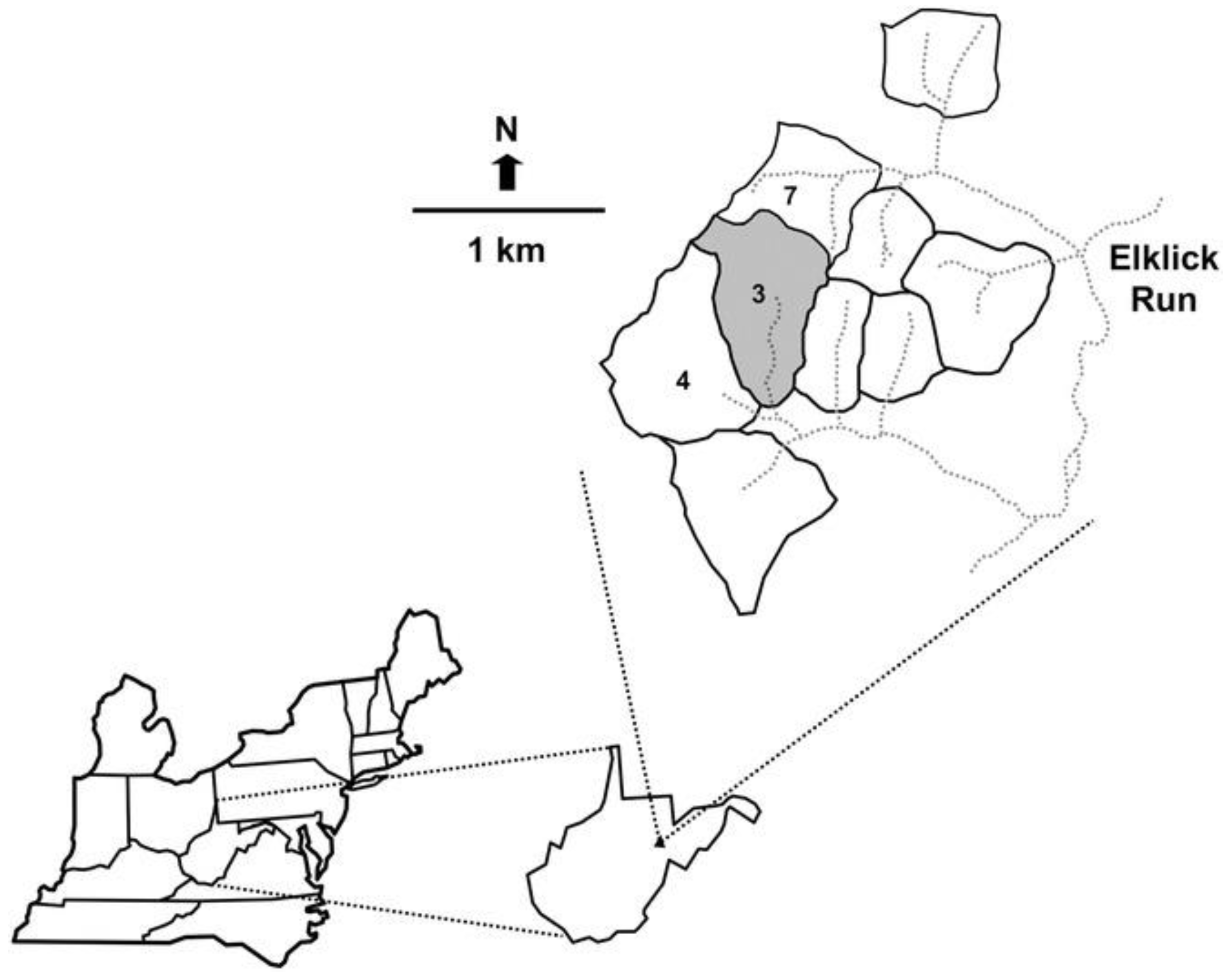 Forests 12 00509 g004 Forests 12 00509 g004