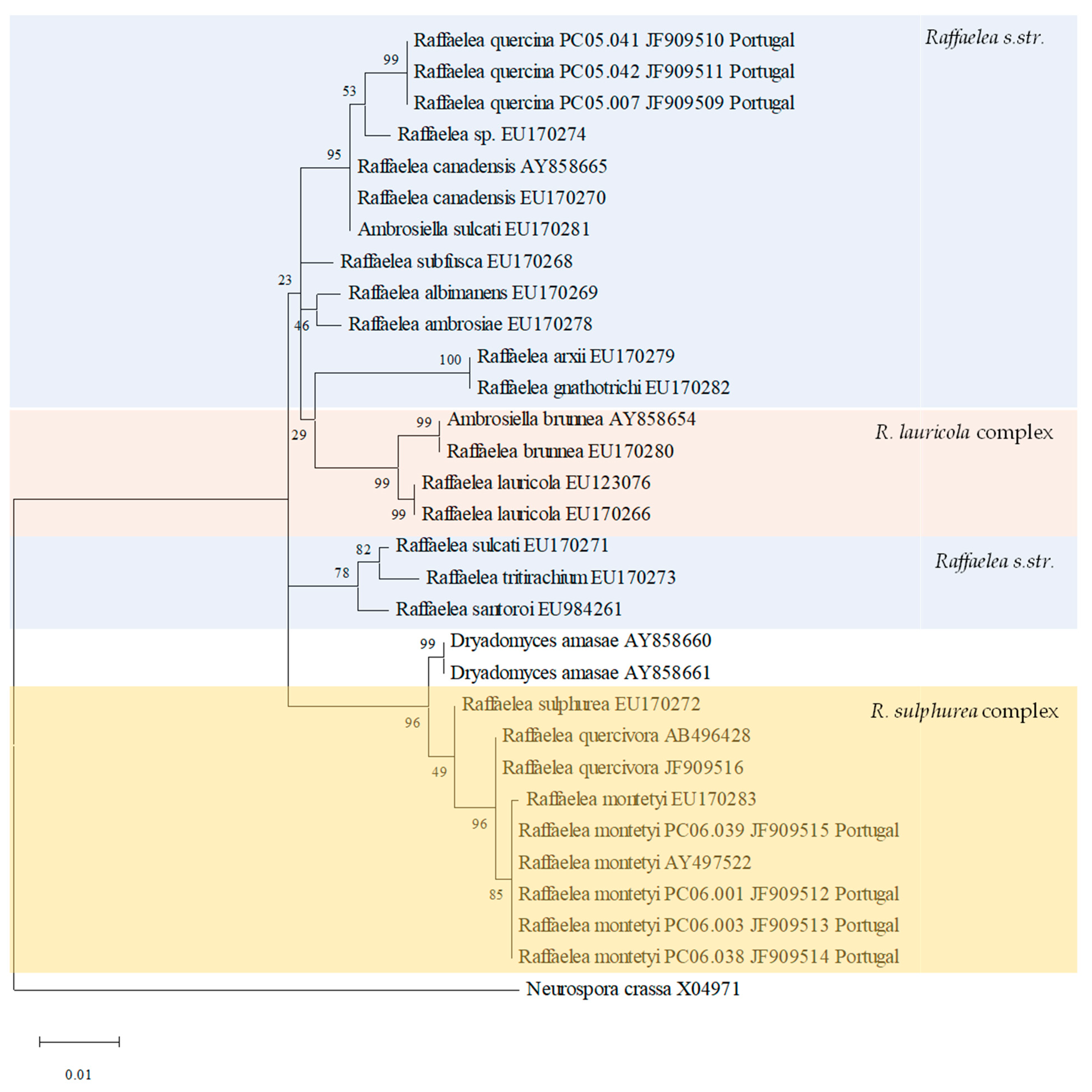Forests 12 00513 g003