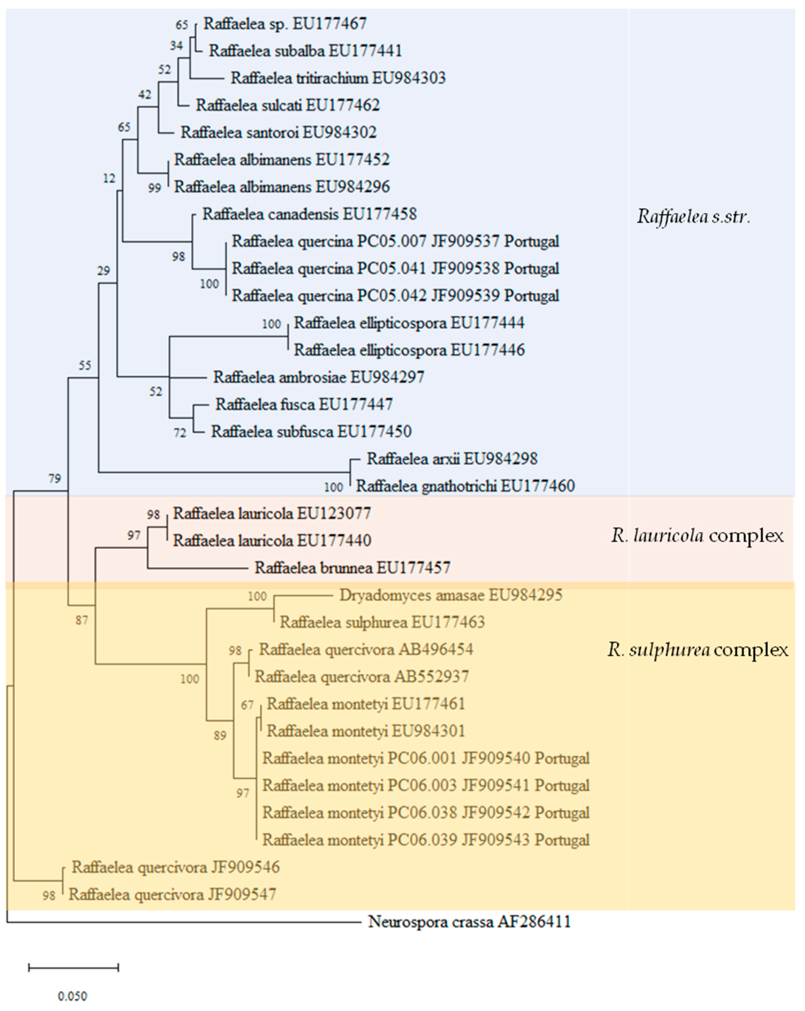 Forests 12 00513 g004