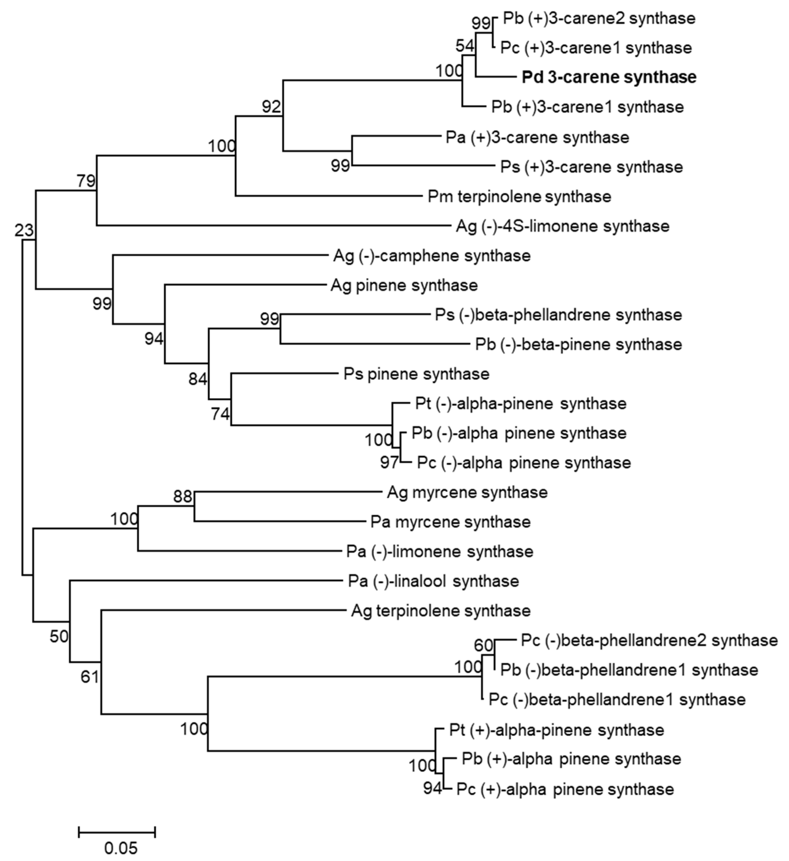 Forests 12 00514 g005 Forests 12 00514 g005