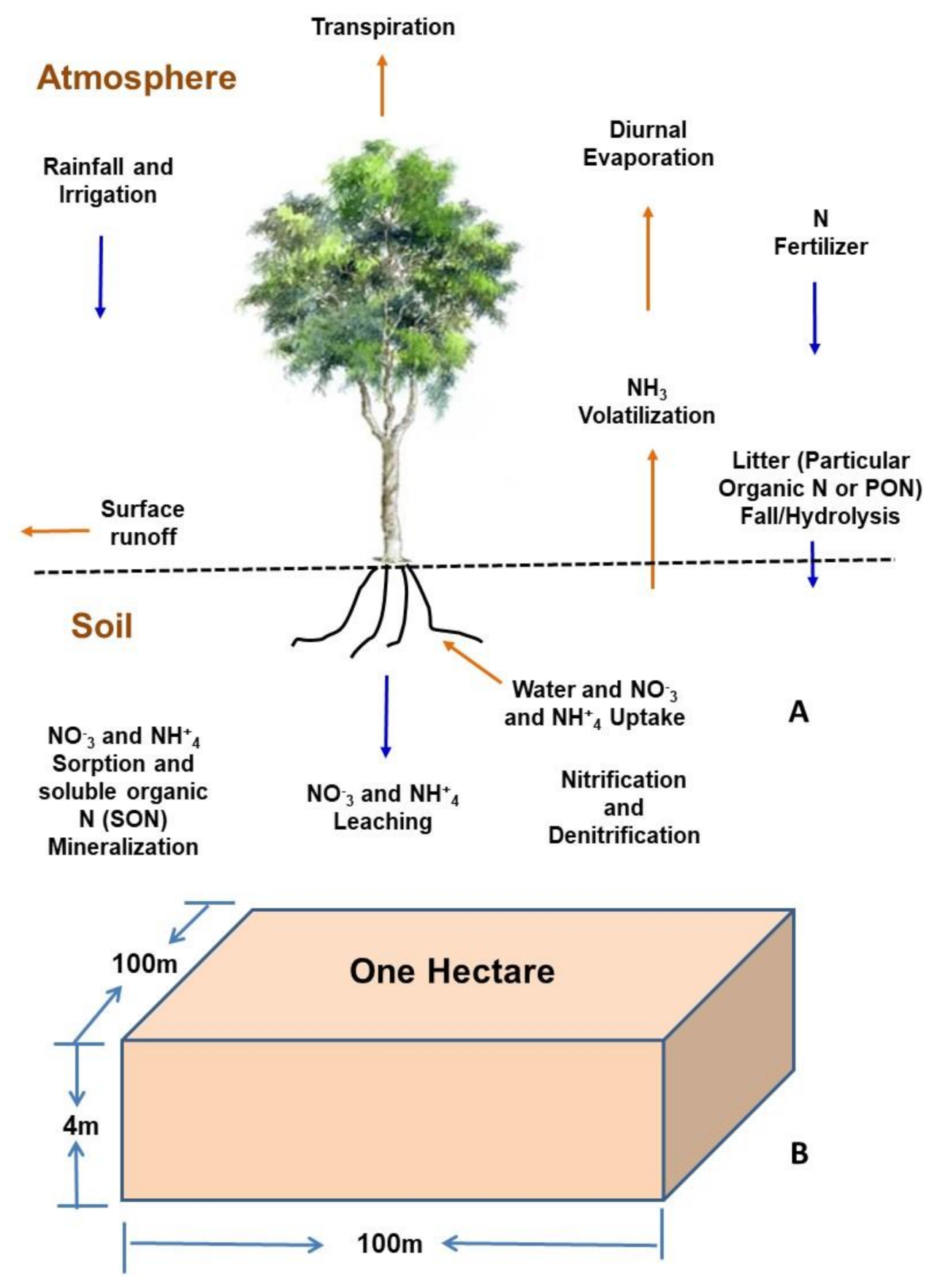 Forests 12 00515 g001 Forests 12 00515 g001