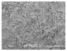 Forests 12 00527 i025