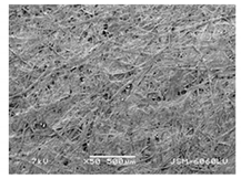 Forests 12 00527 i028