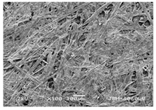 Forests 12 00527 i029