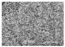 Forests 12 00527 i031