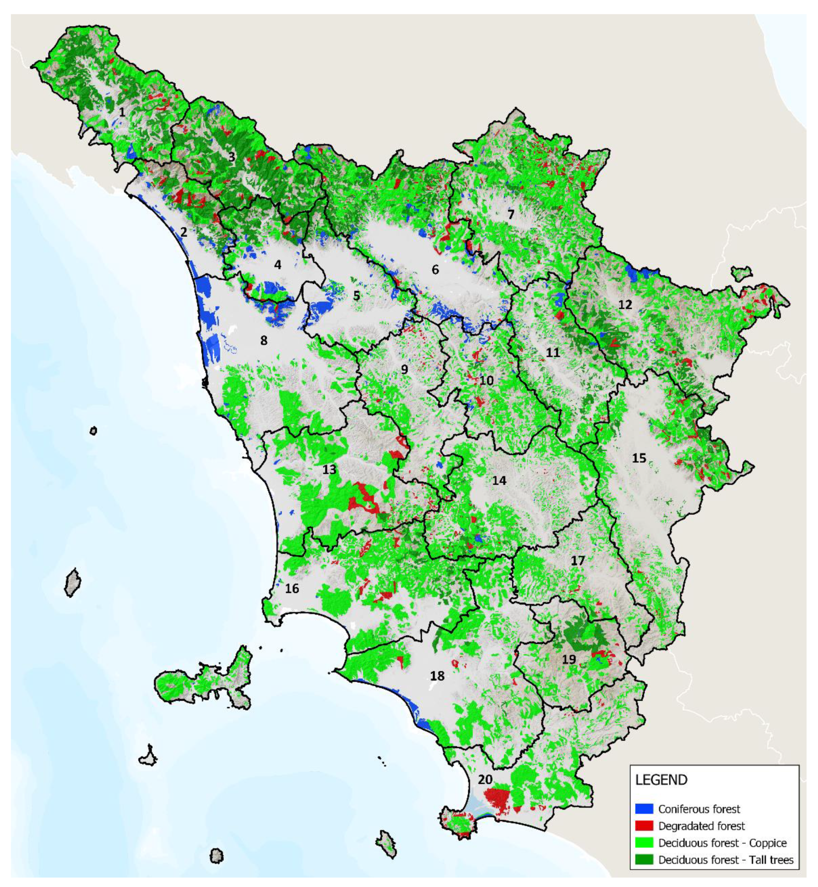 Forests 12 00531 g002 Forests 12 00531 g002