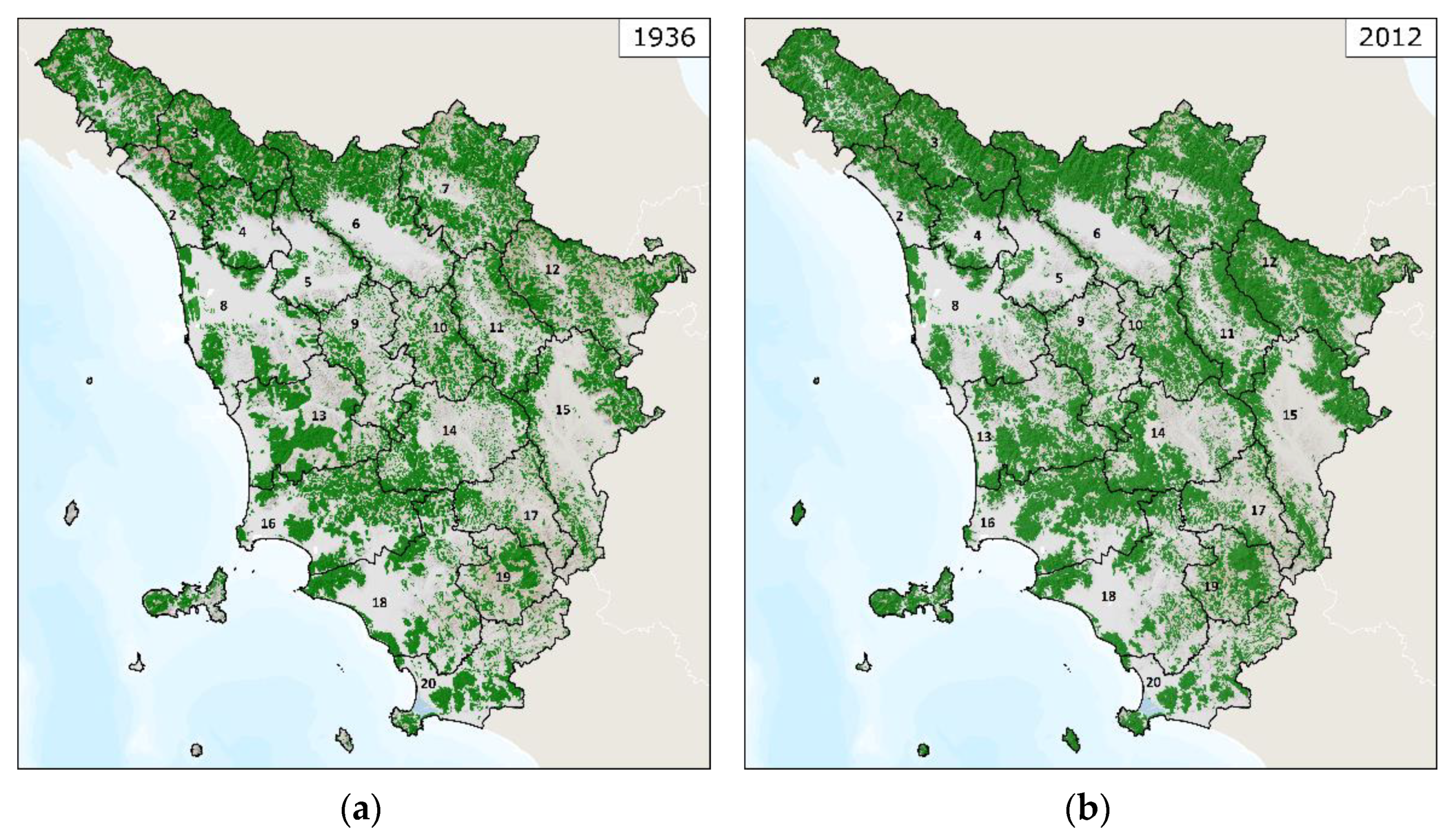 Forests 12 00531 g003 Forests 12 00531 g003