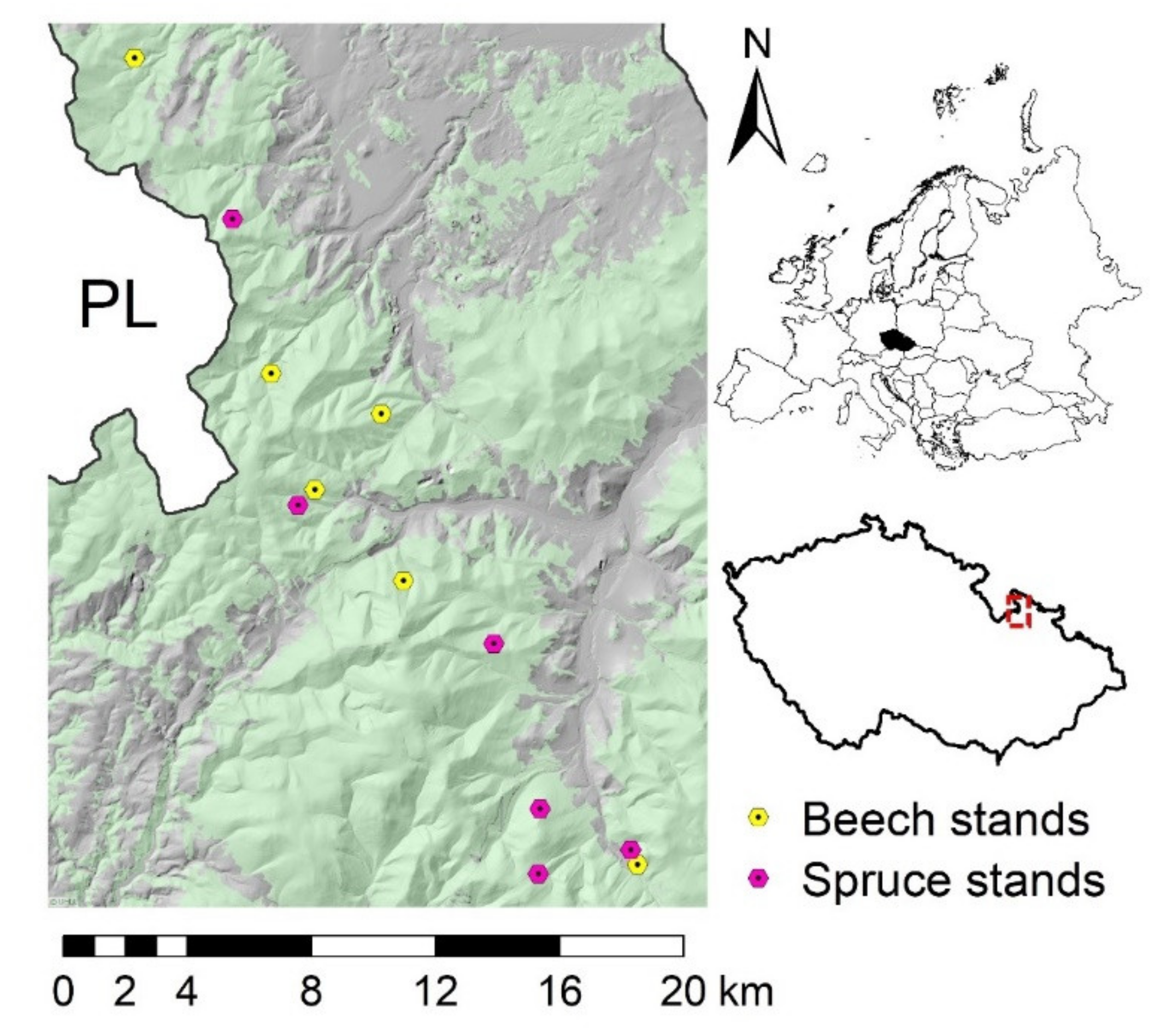 Forests 12 00539 g001 Forests 12 00539 g001