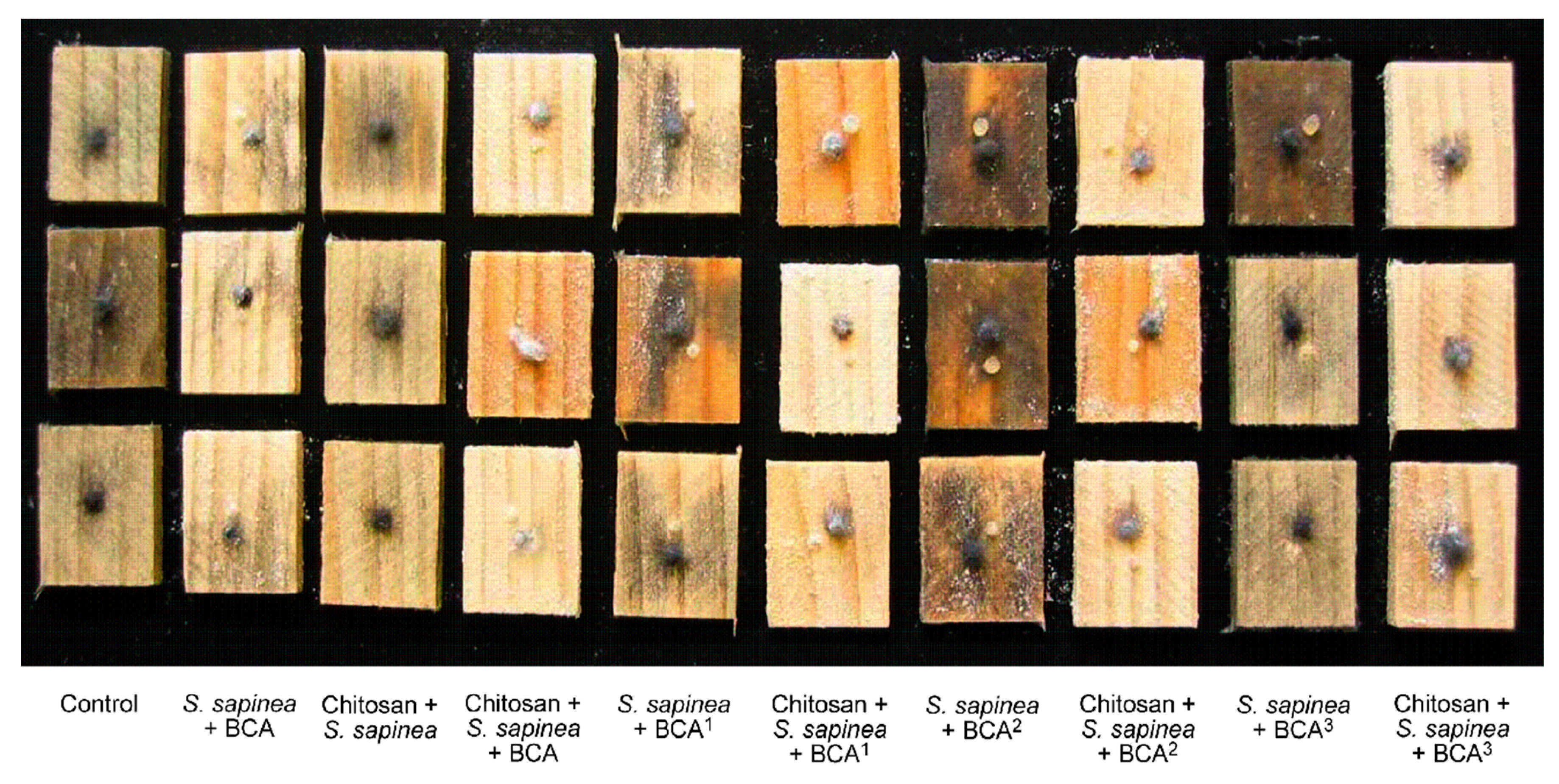 Forests 12 00542 g002