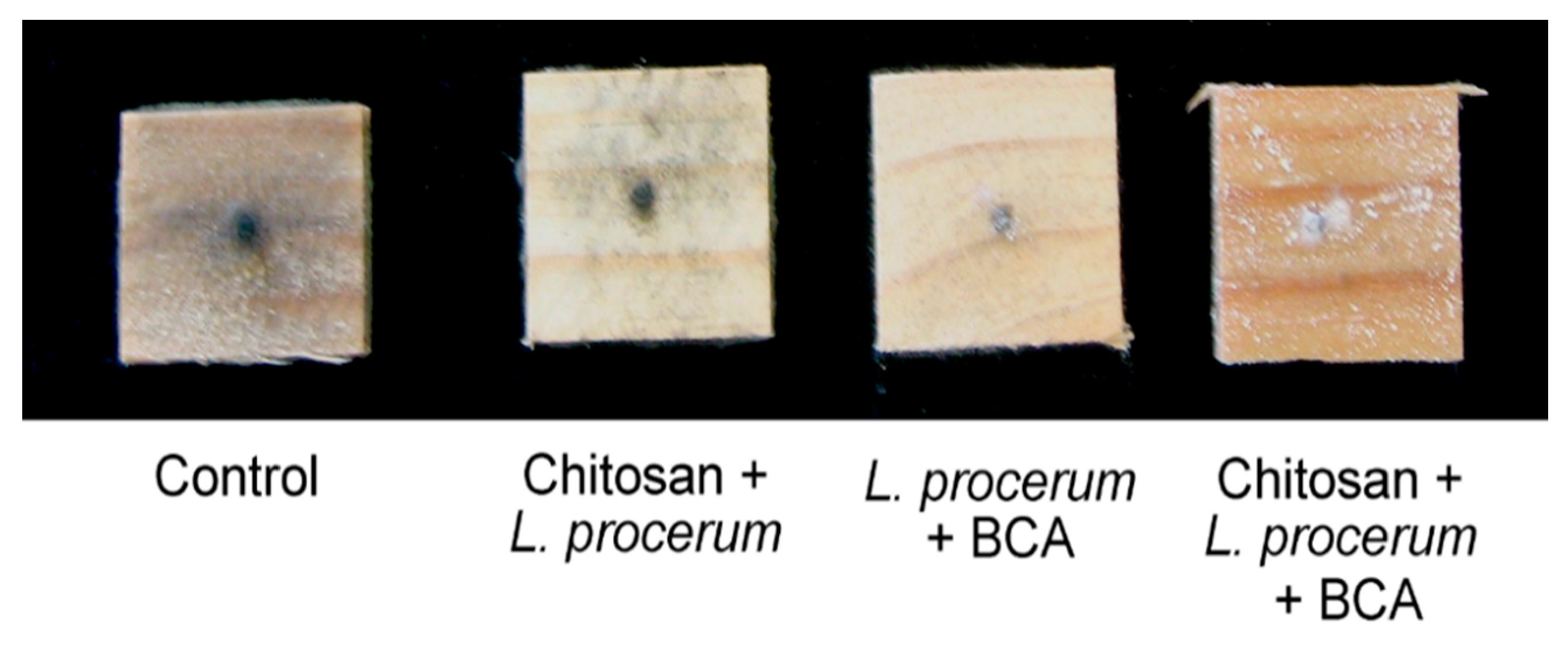 Forests 12 00542 g003