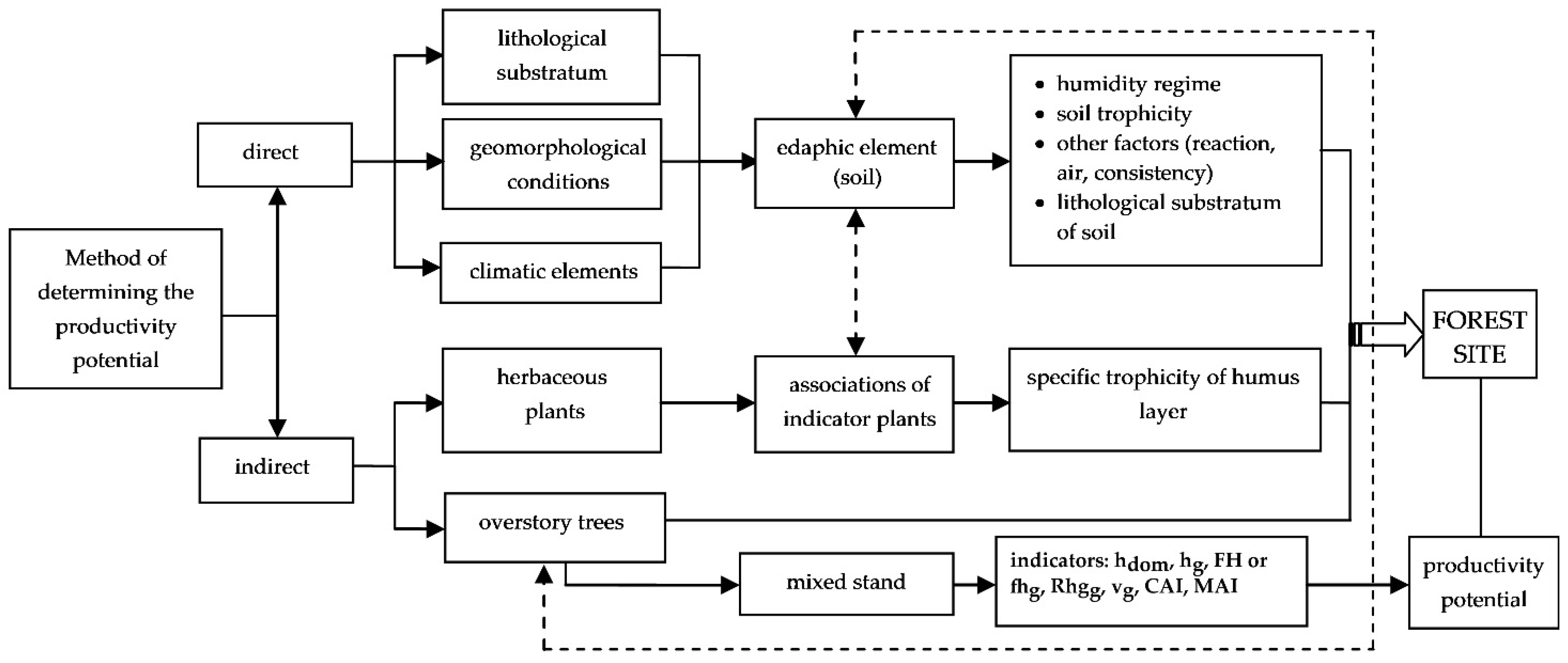 Forests 12 00549 g002 Forests 12 00549 g002