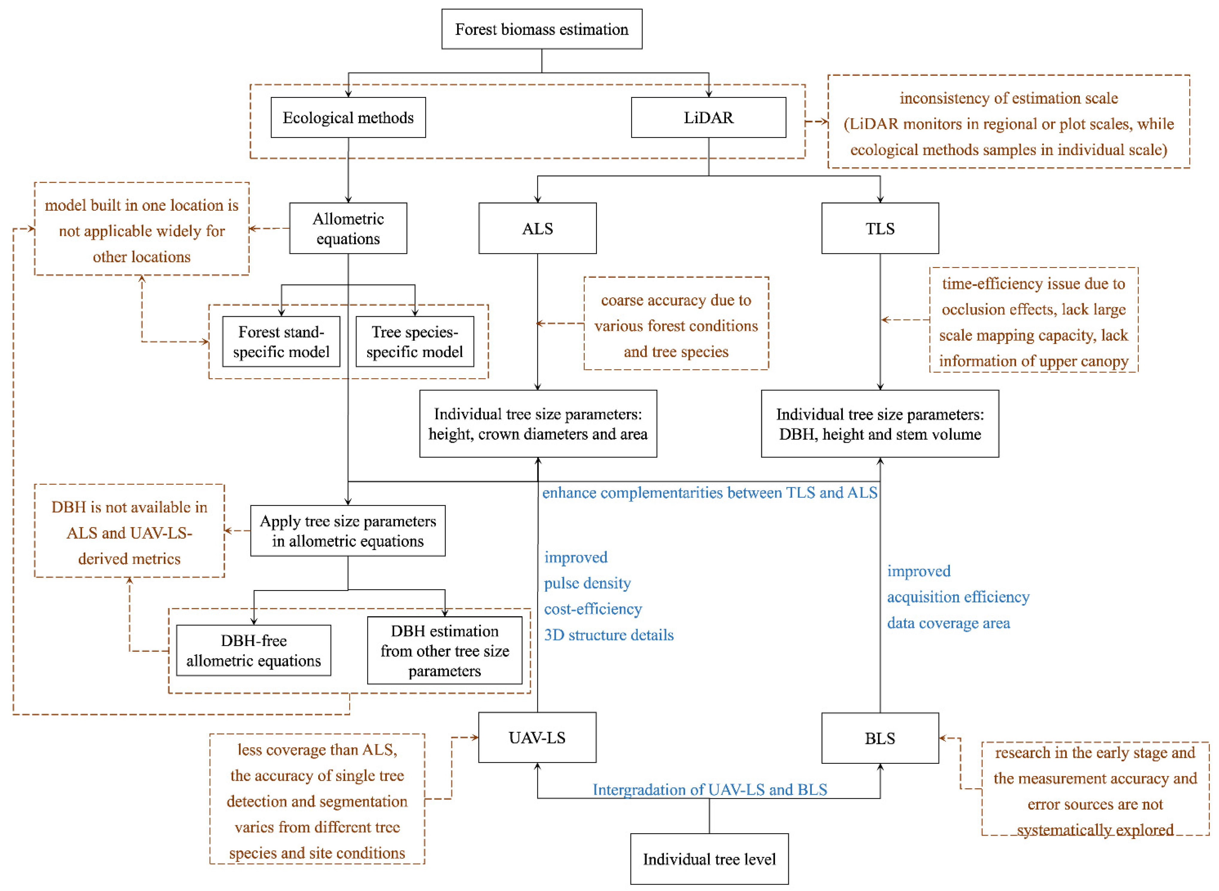 Forests 12 00550 g001