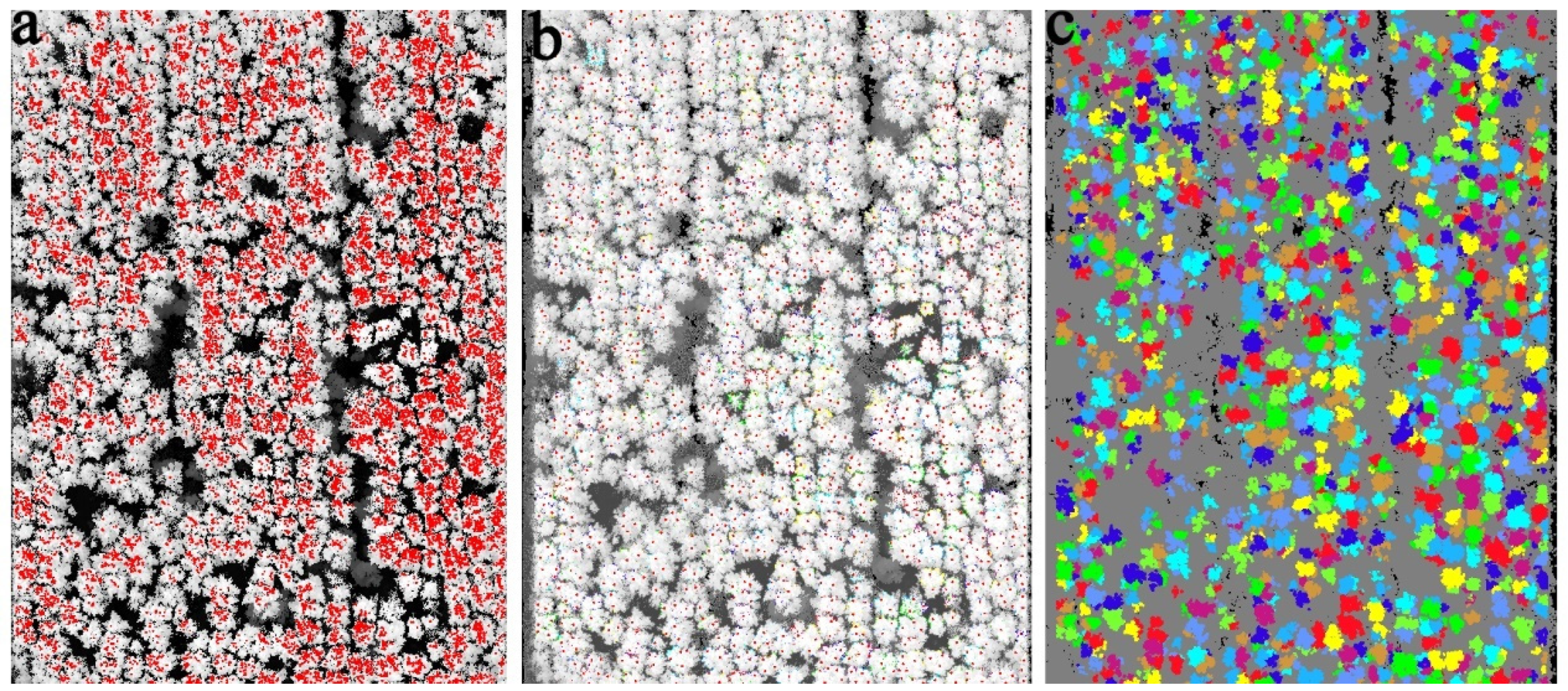 Forests 12 00550 g002