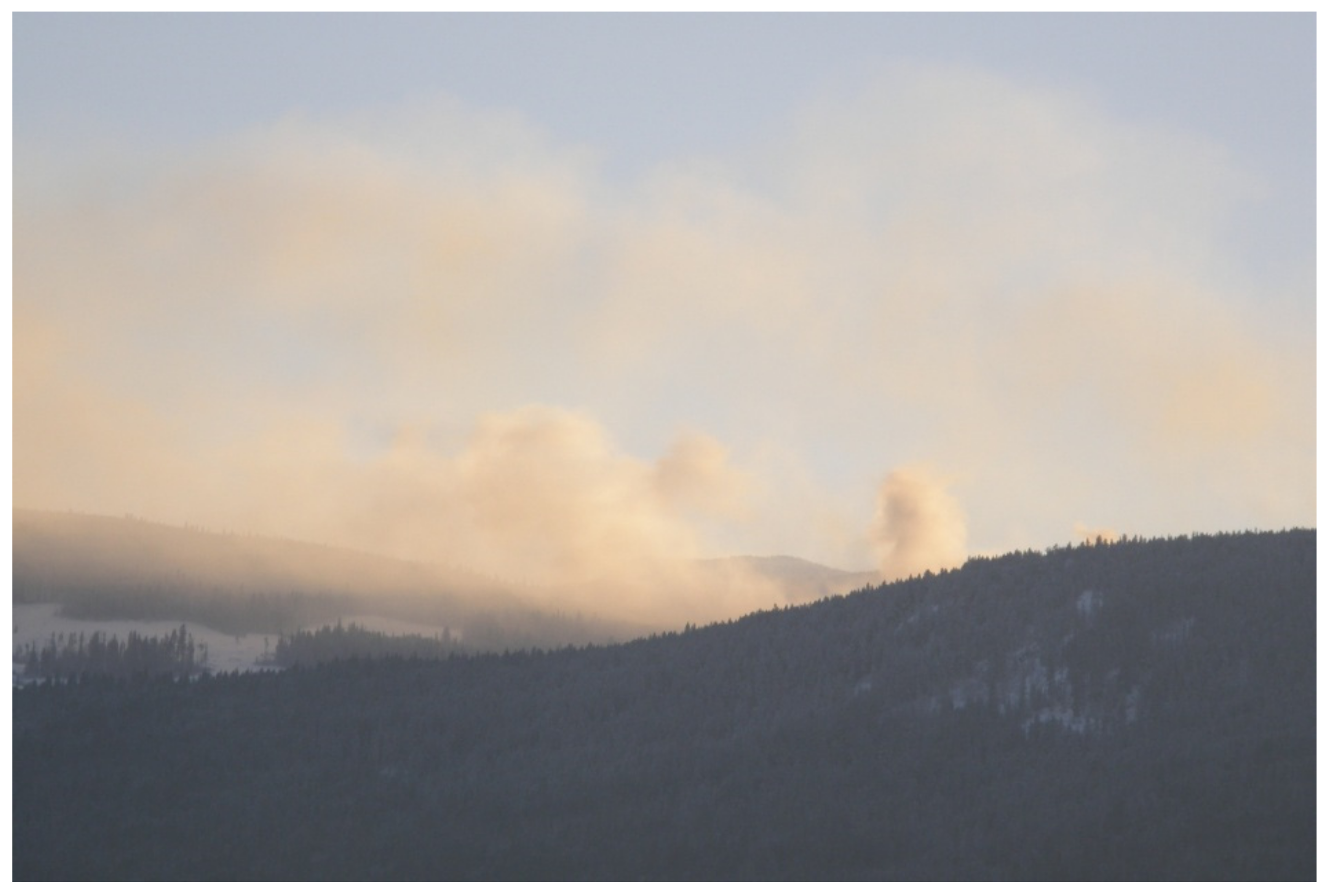 Forests 12 00551 g002 Forests 12 00551 g002