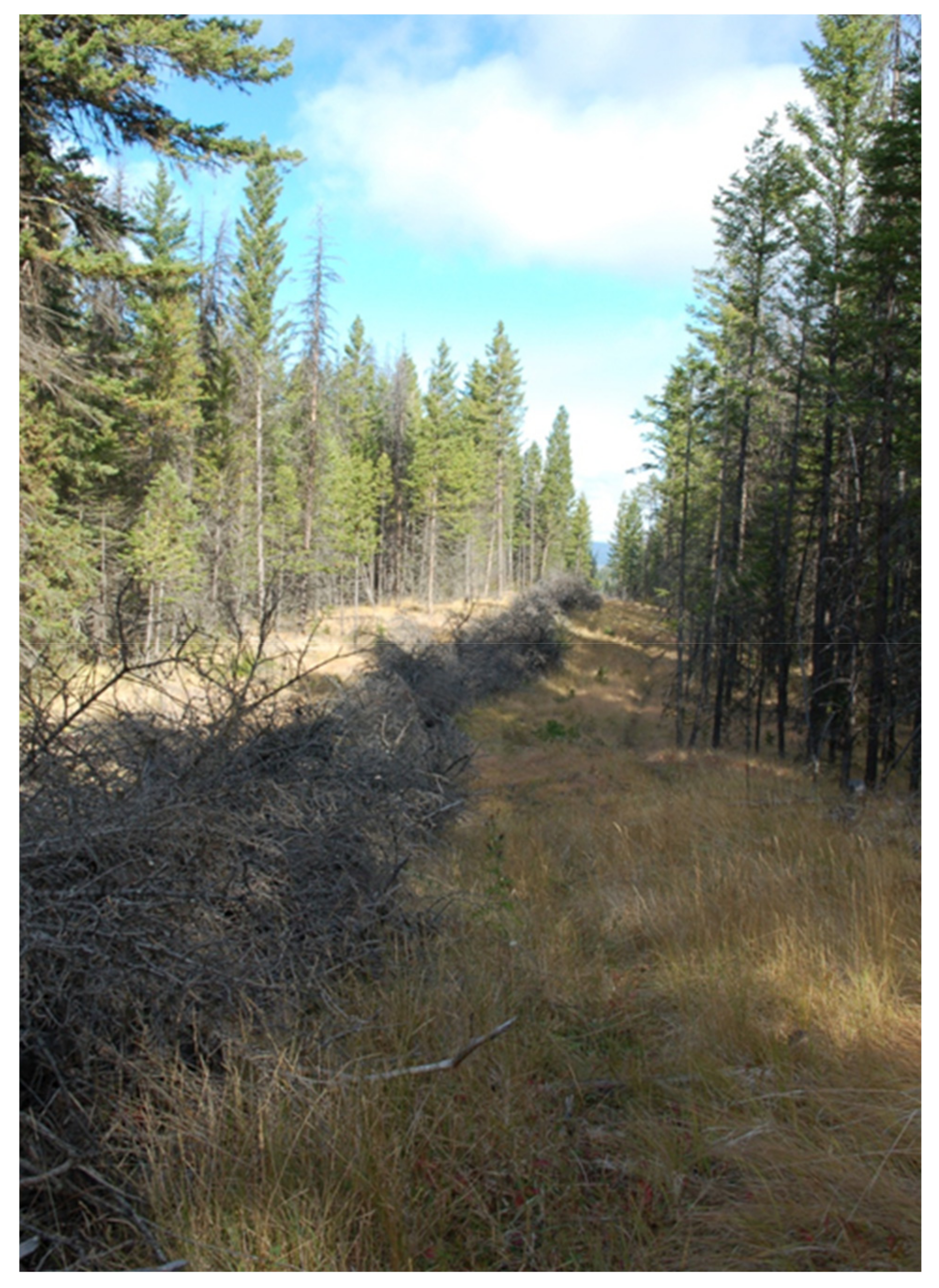 Forests 12 00551 g012 Forests 12 00551 g012