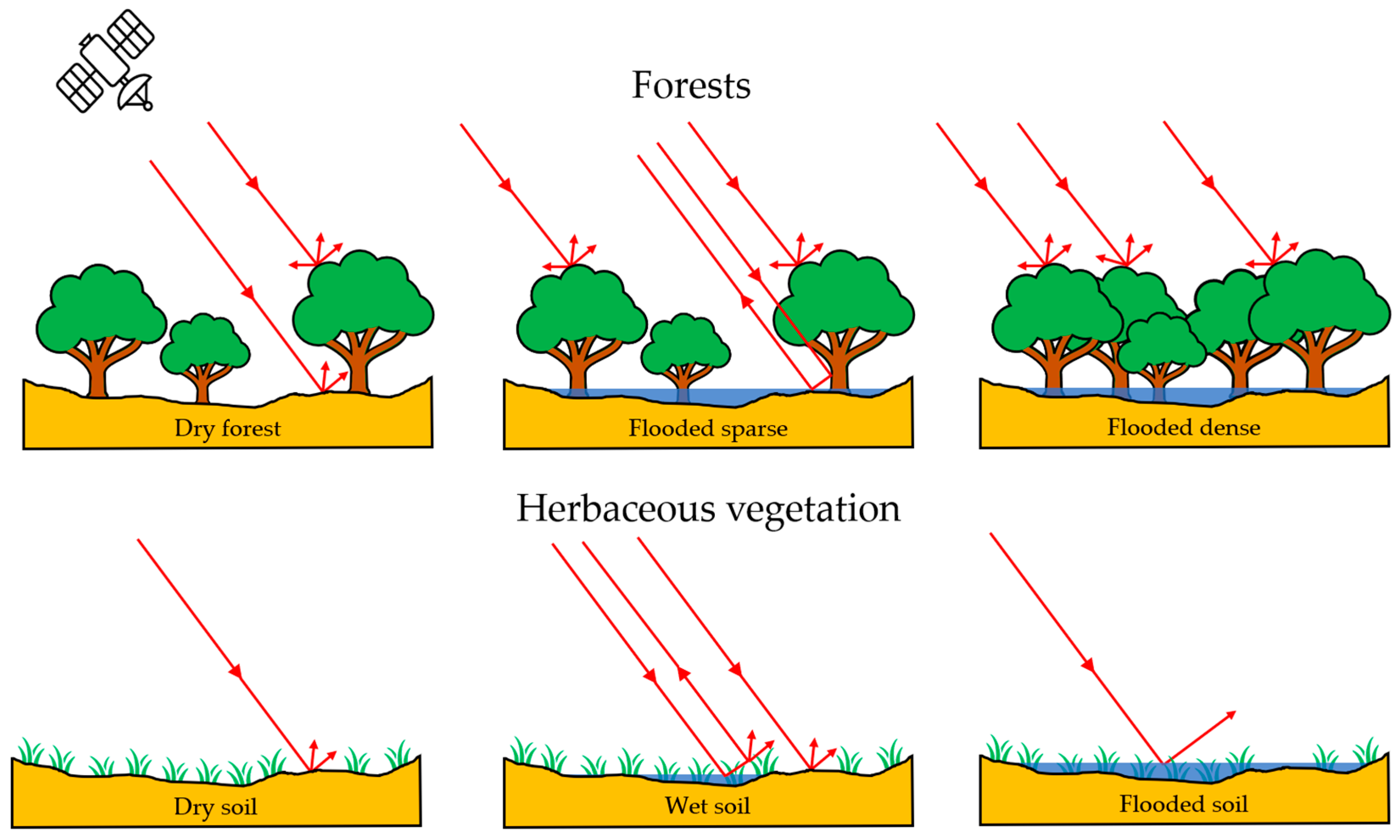Forests 12 00553 g002