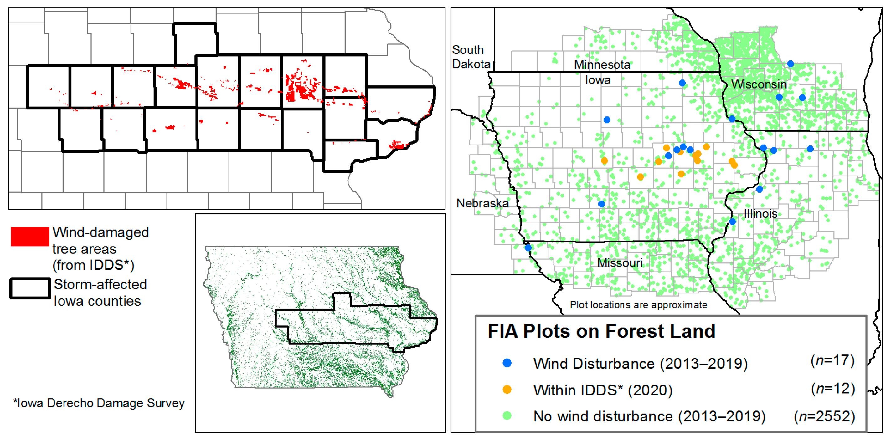 Forests 12 00555 g002
