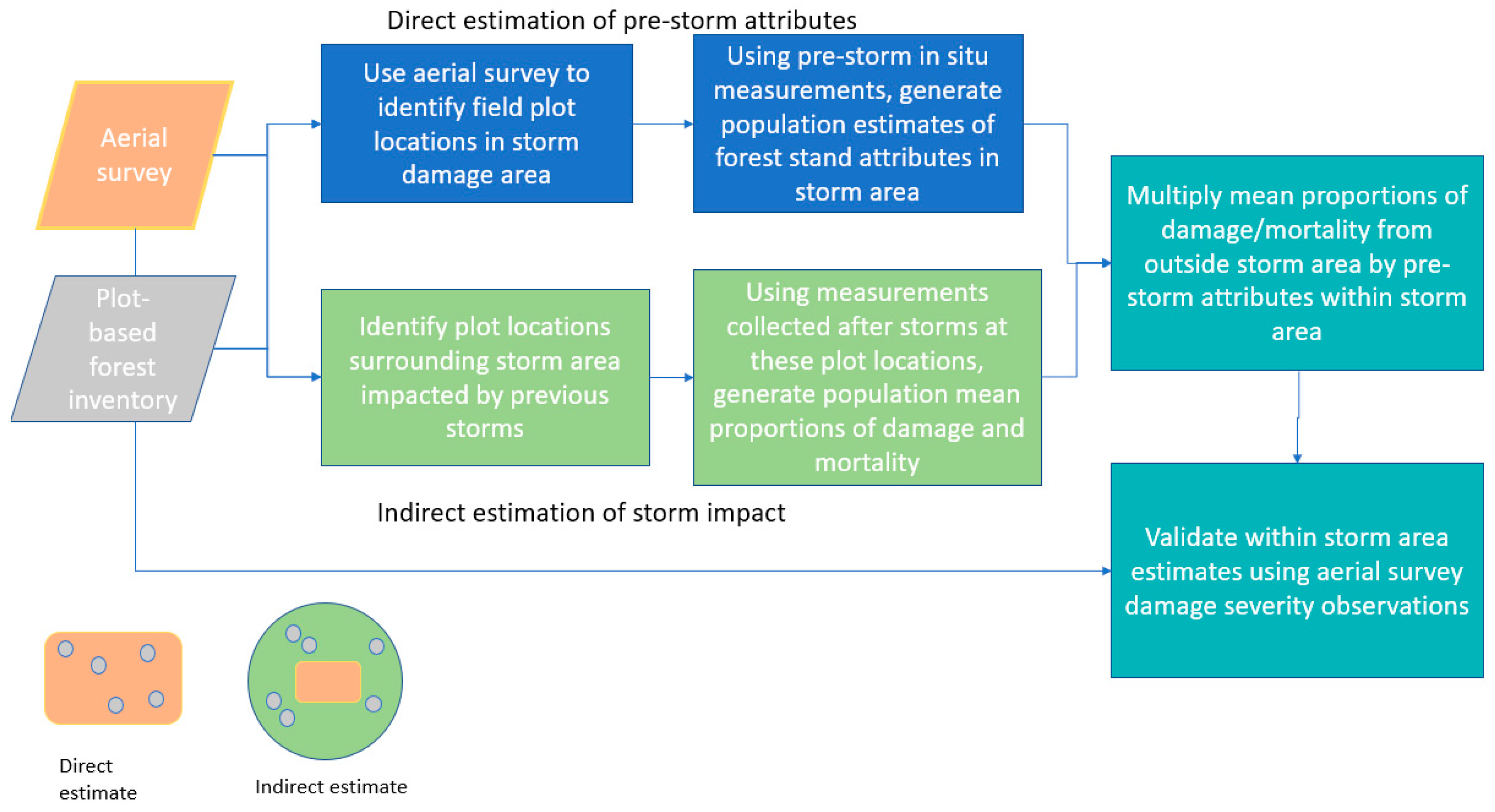 Forests 12 00555 g003