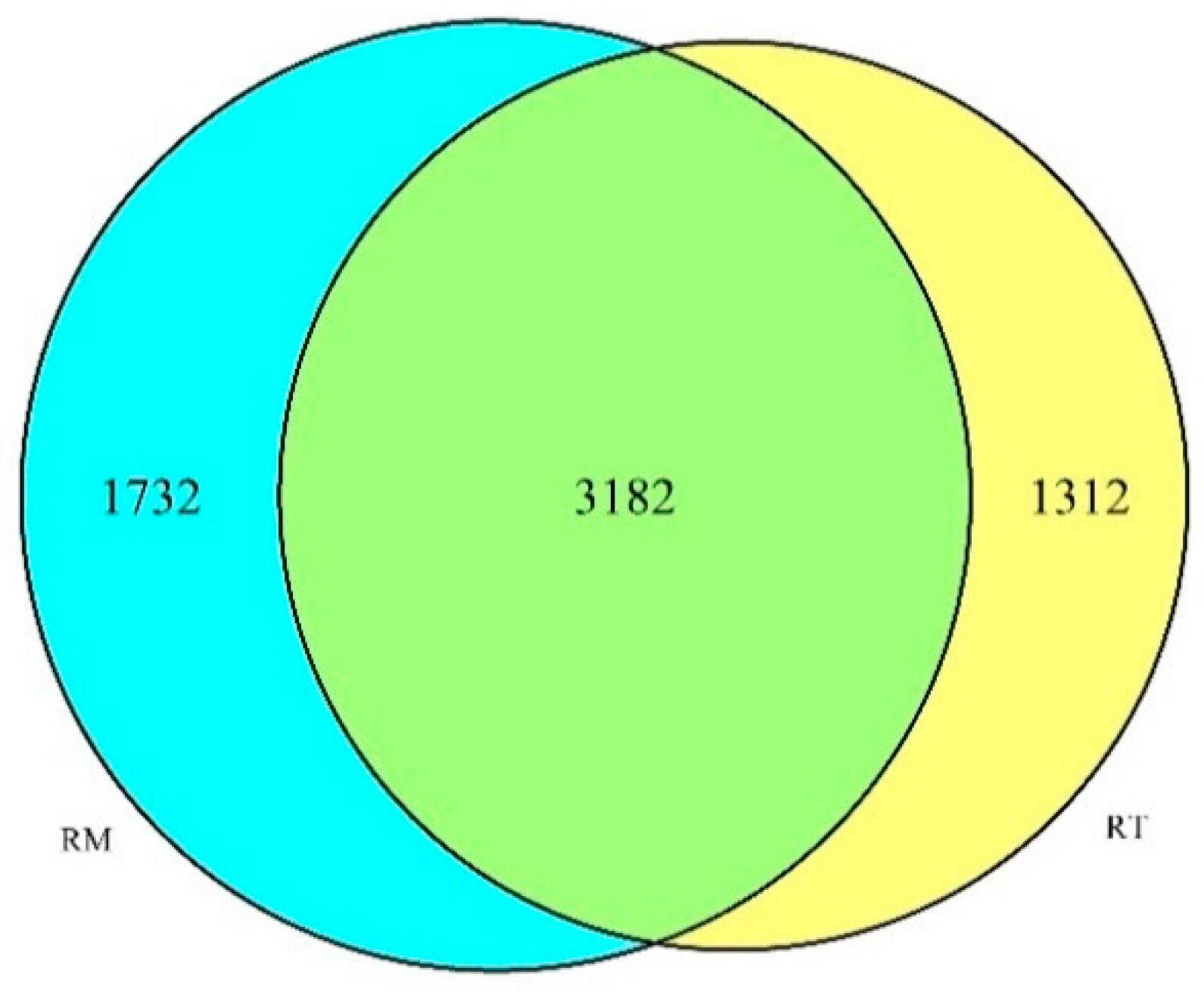 Forests 12 00559 g001 Forests 12 00559 g001
