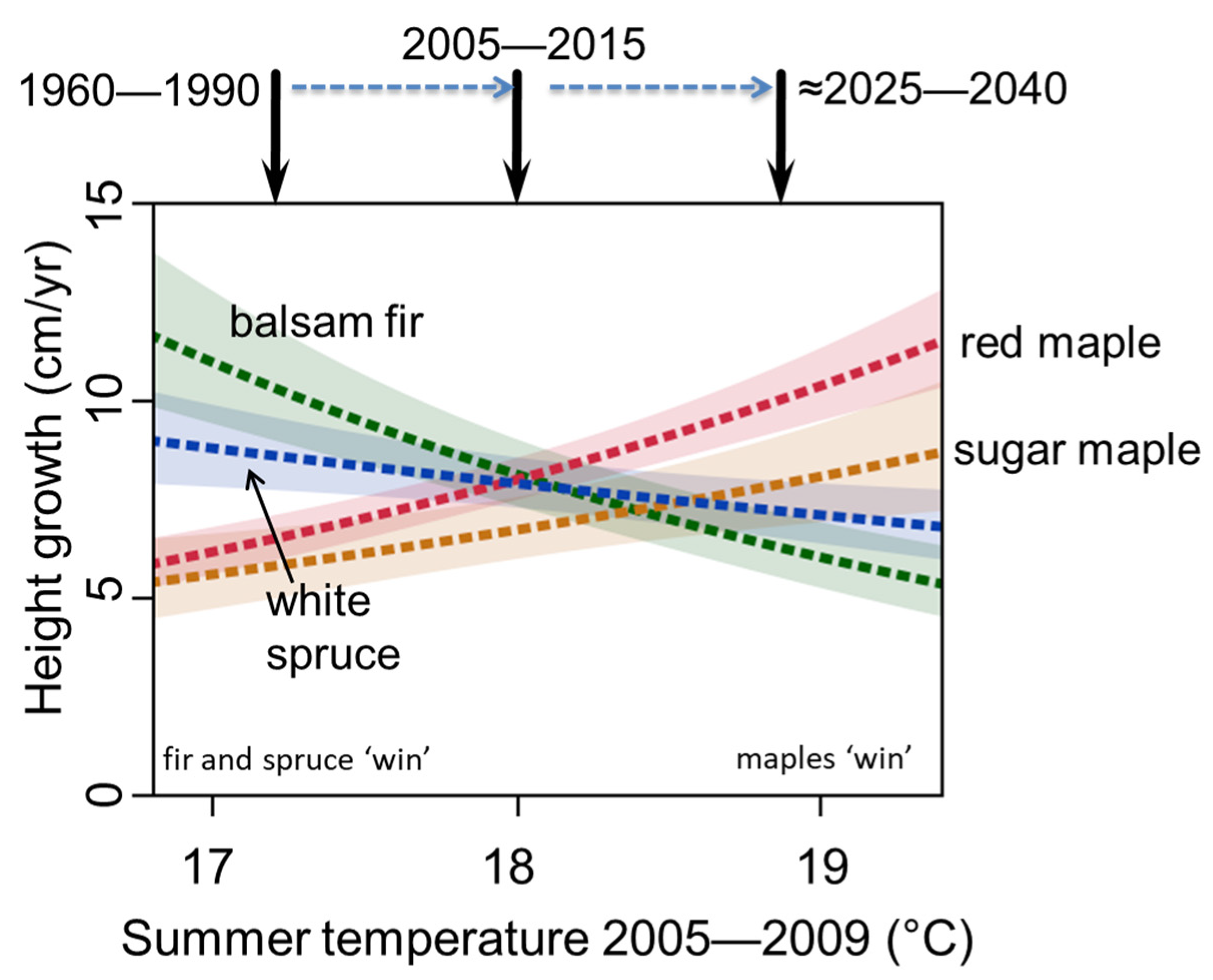 Forests 12 00560 g002 Forests 12 00560 g002