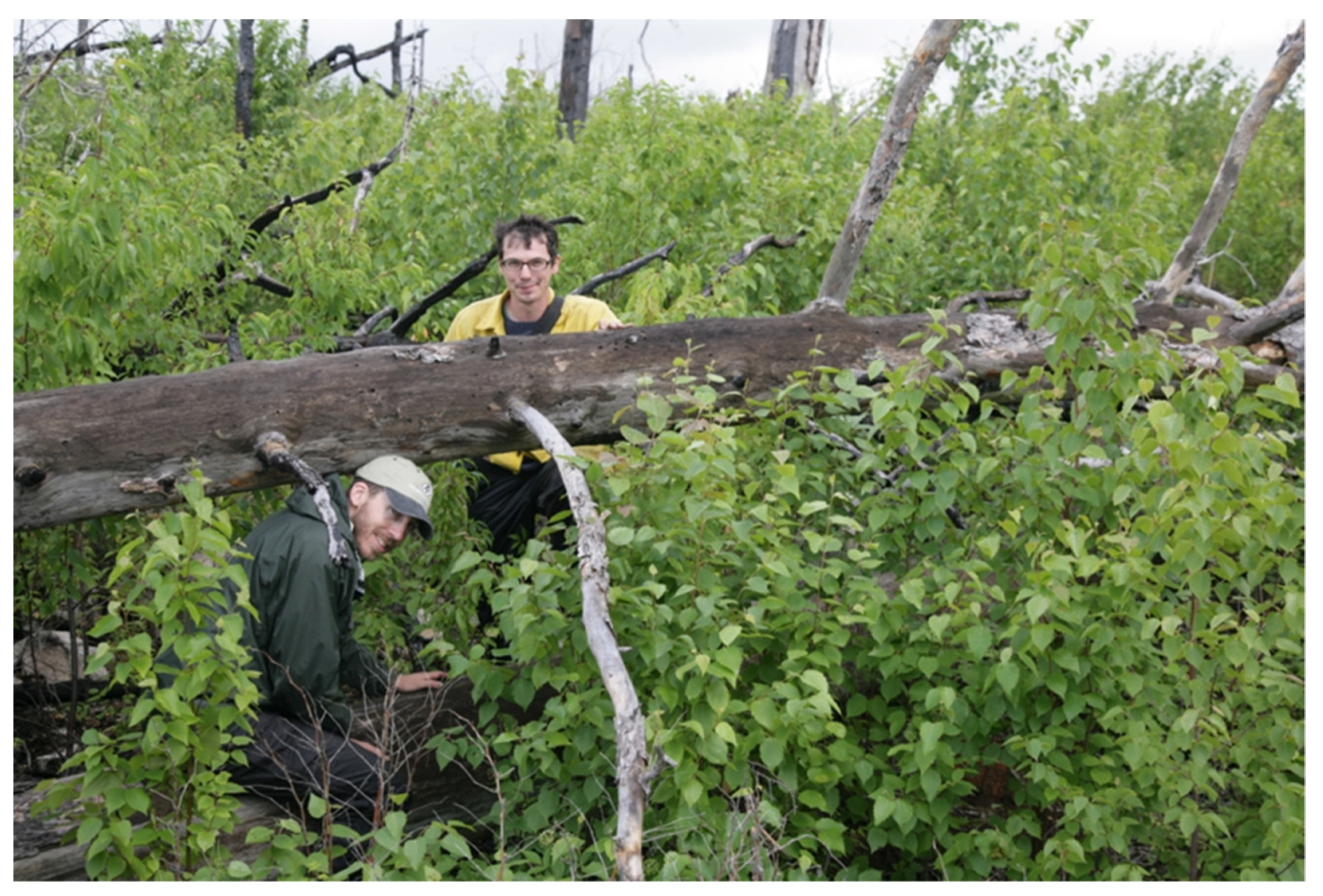 Forests 12 00560 g005 Forests 12 00560 g005