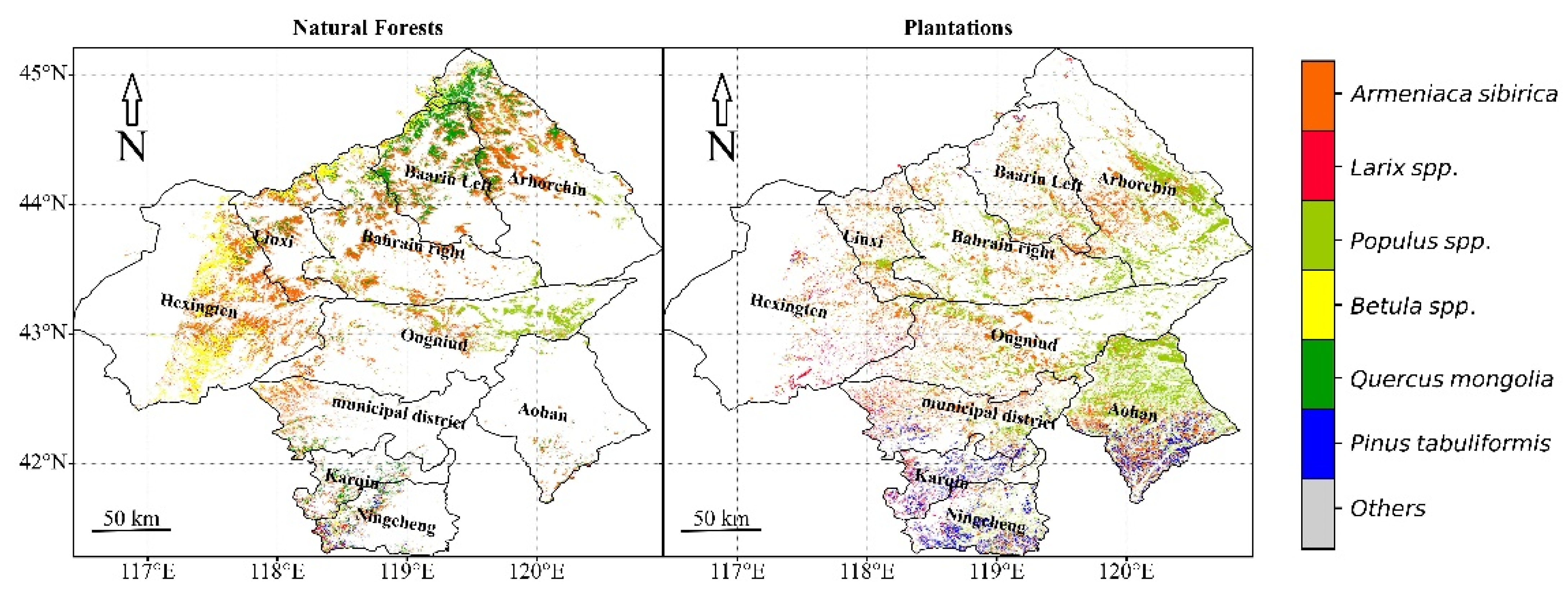 Forests 12 00565 g010 Forests 12 00565 g010