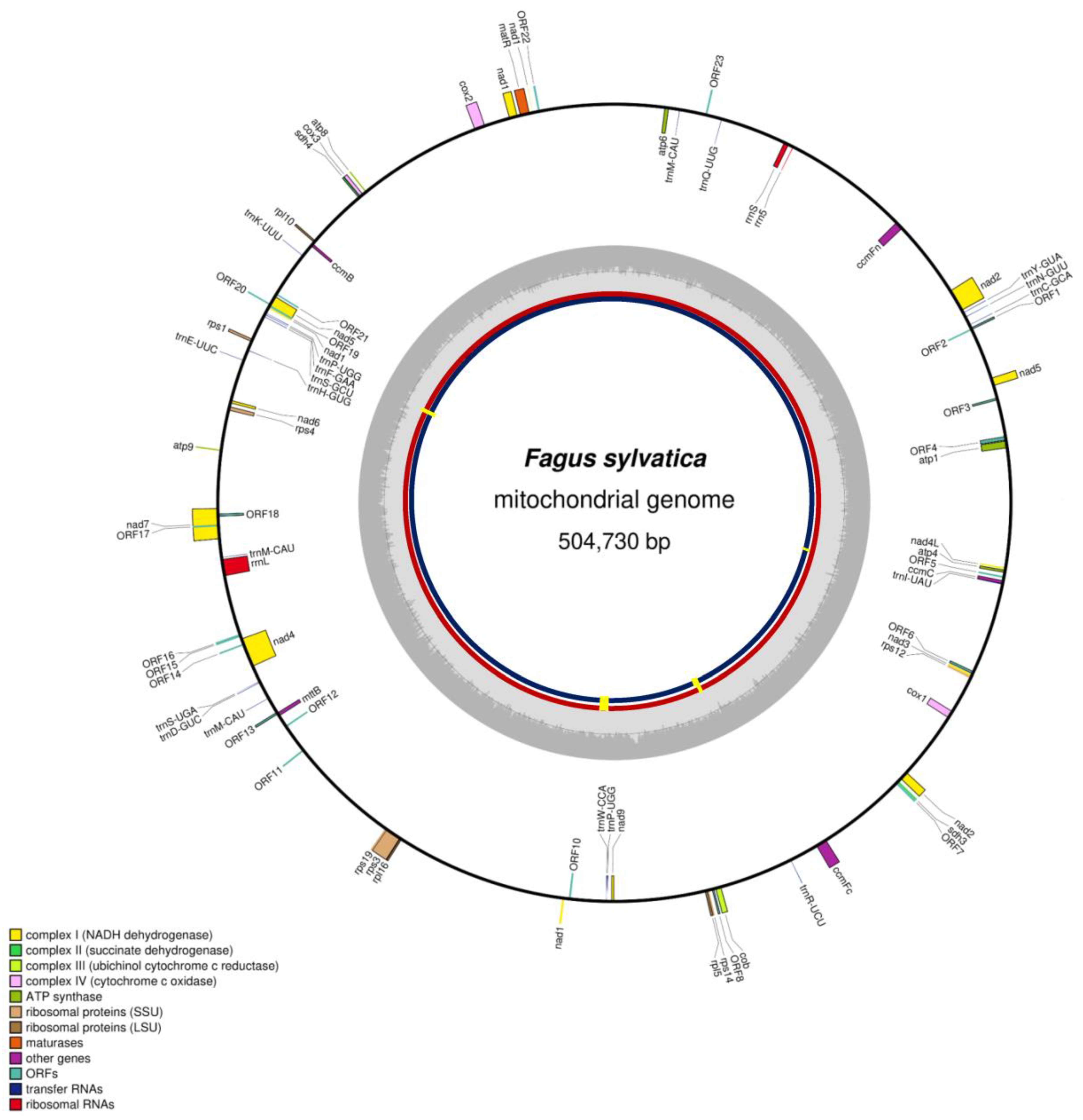 Forests 12 00571 g001
