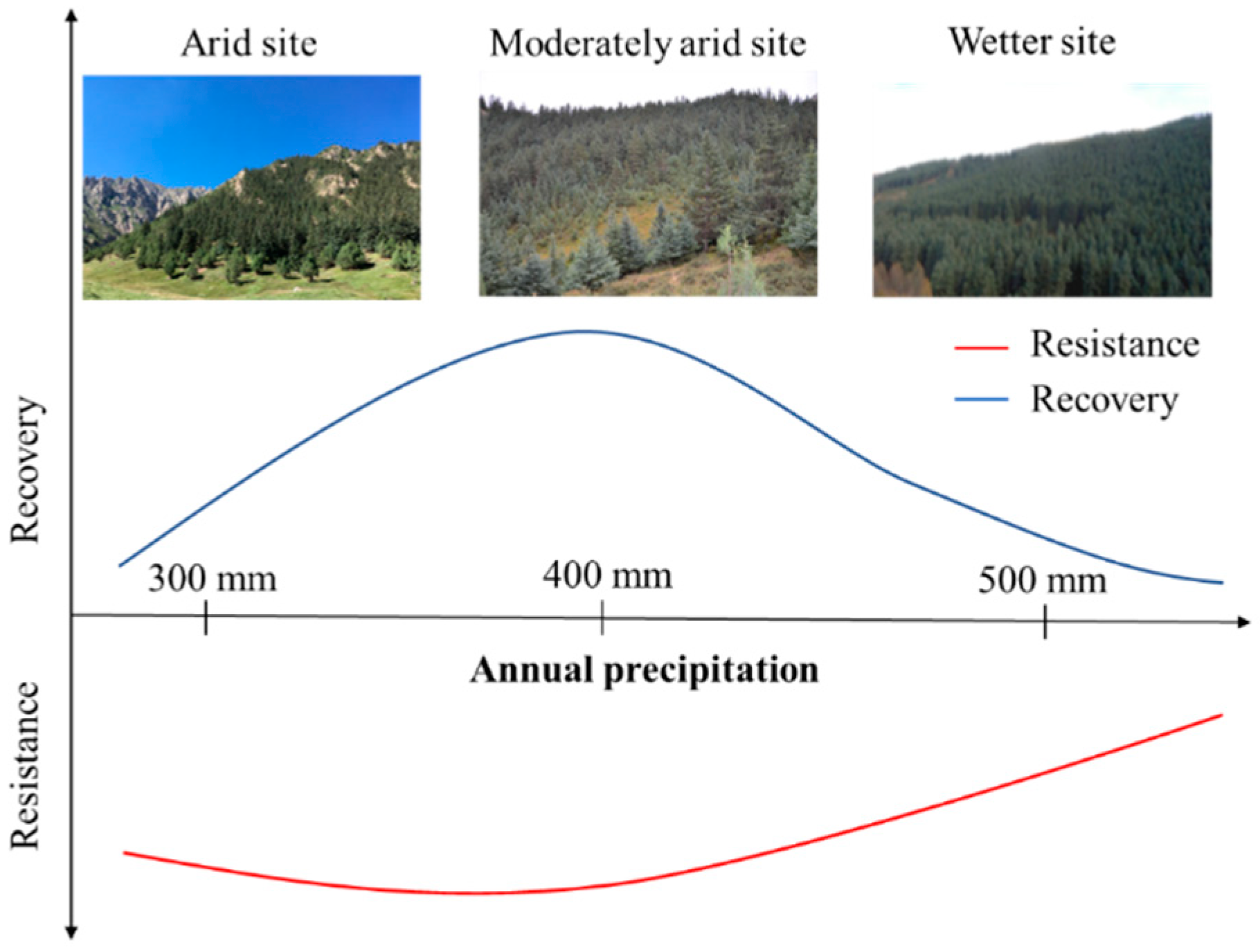 Forests 12 00579 g007