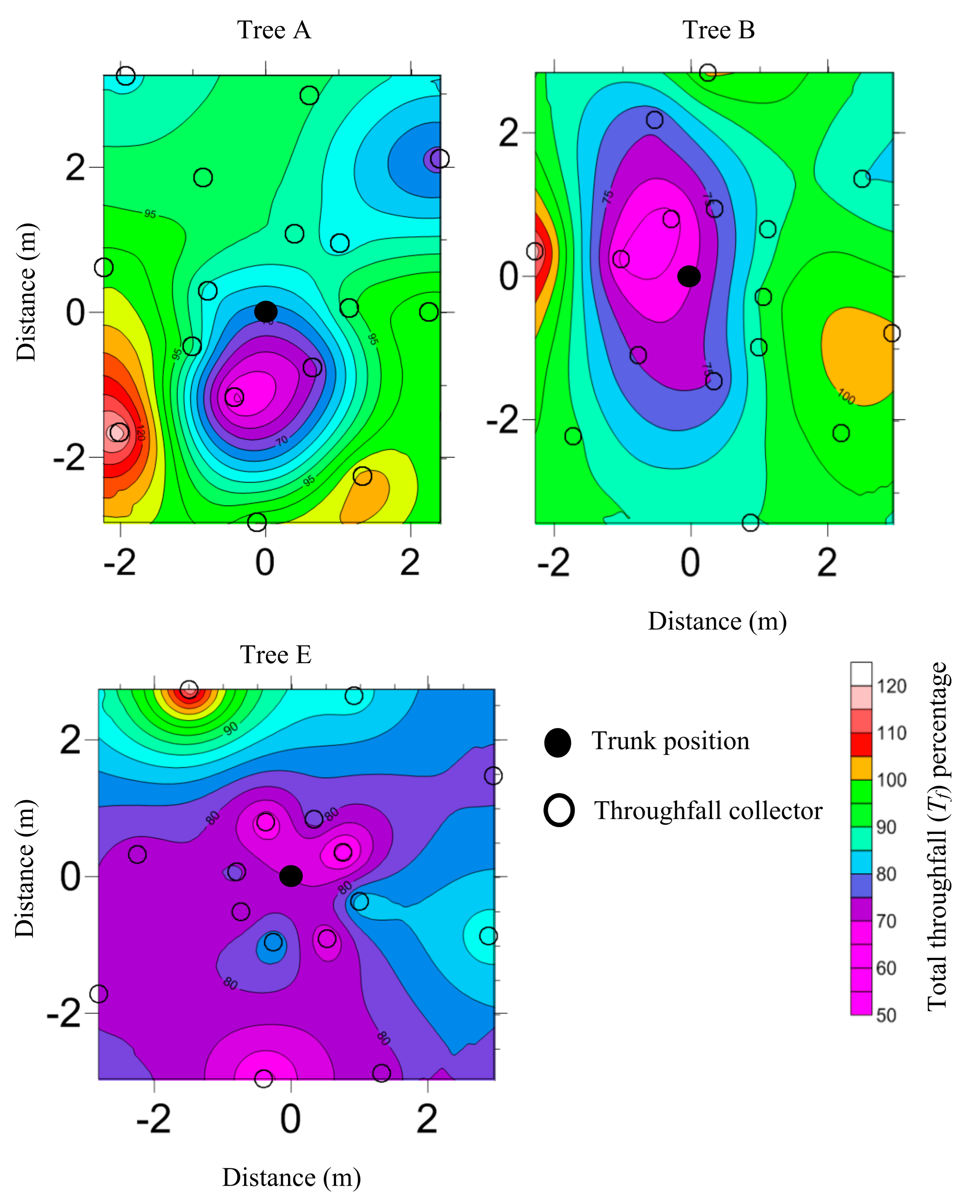 Forests 12 00585 g004 Forests 12 00585 g004
