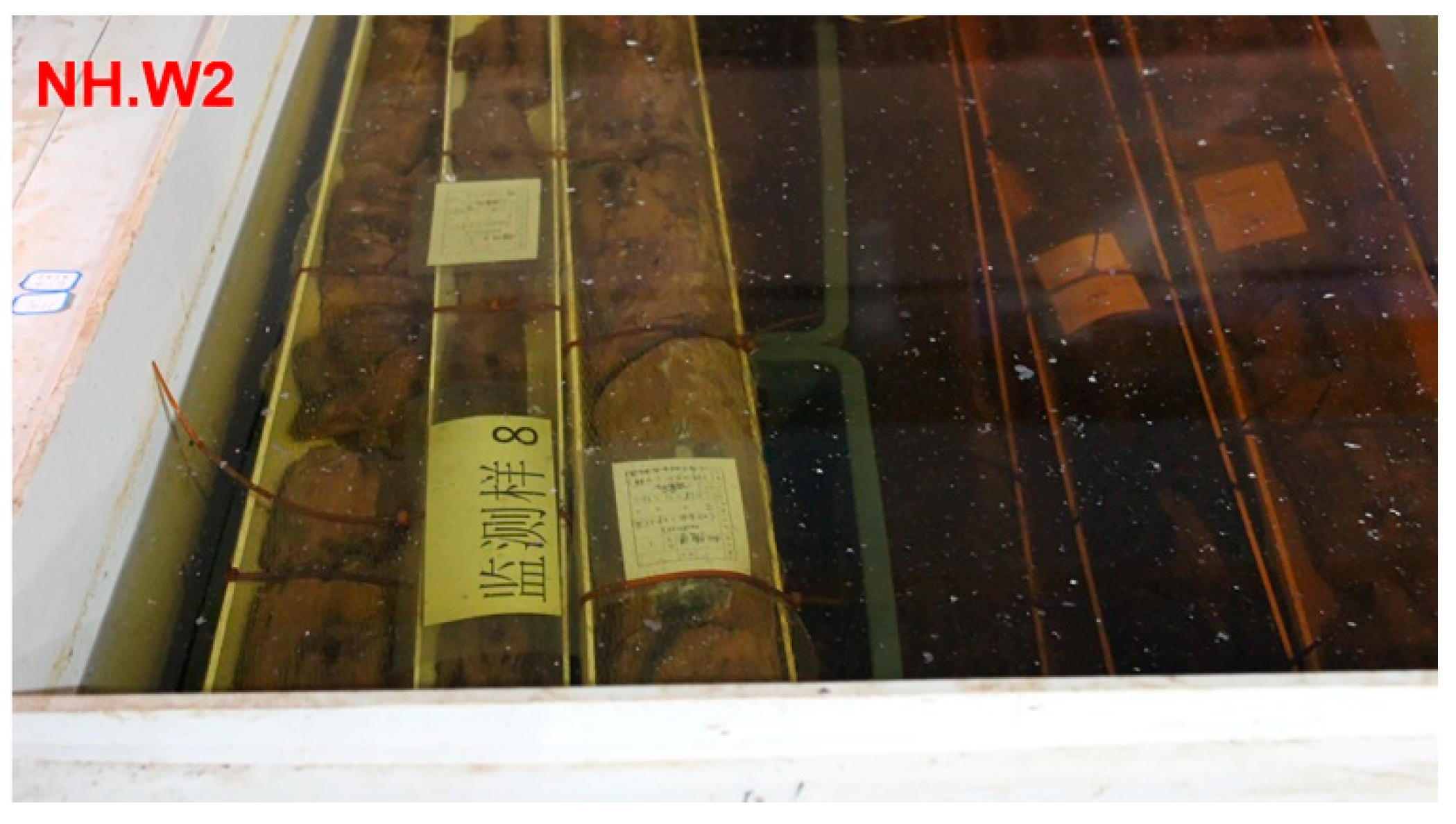 Forests 12 00587 g001 Forests 12 00587 g001