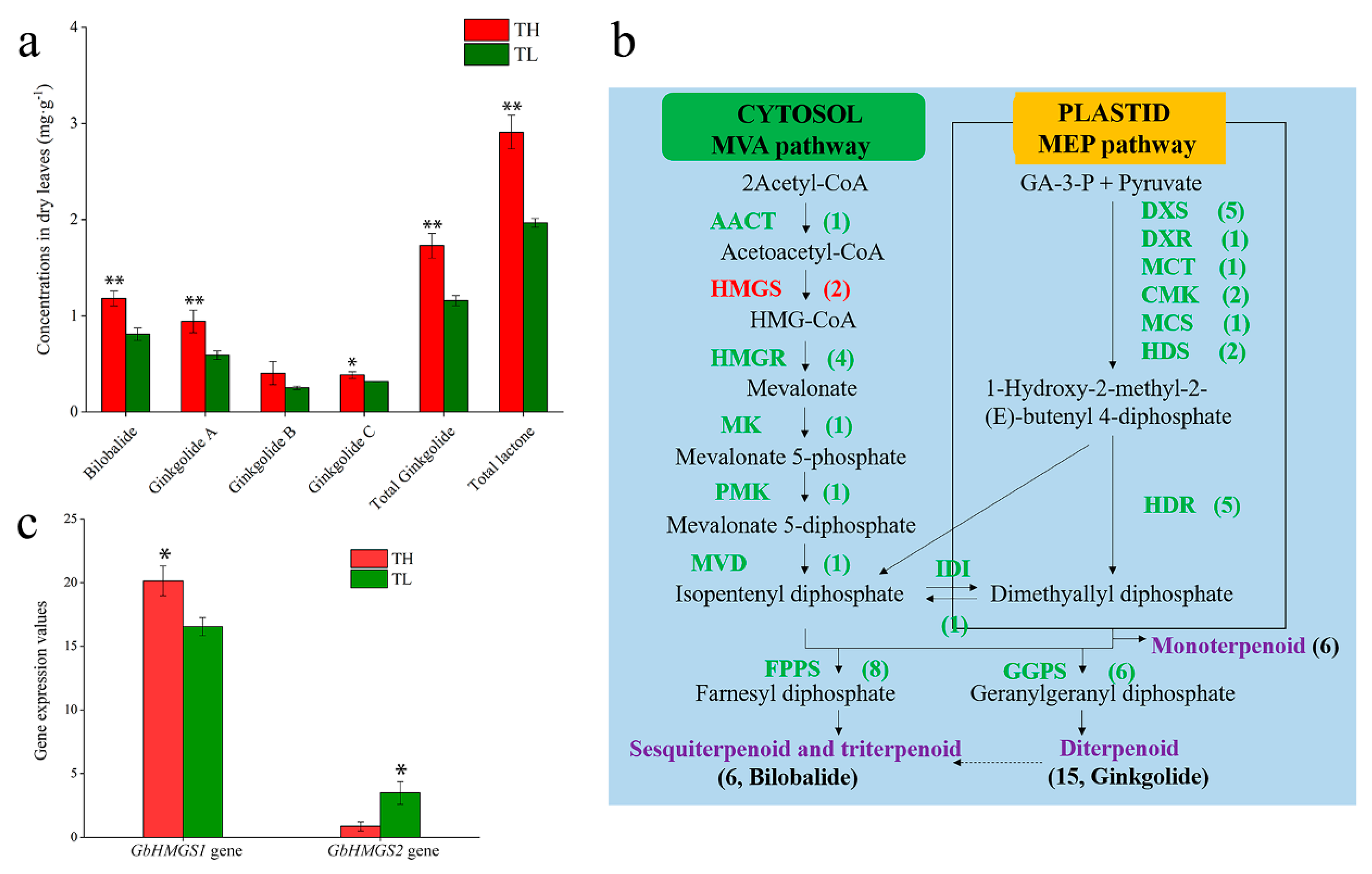 Forests 12 00595 g001