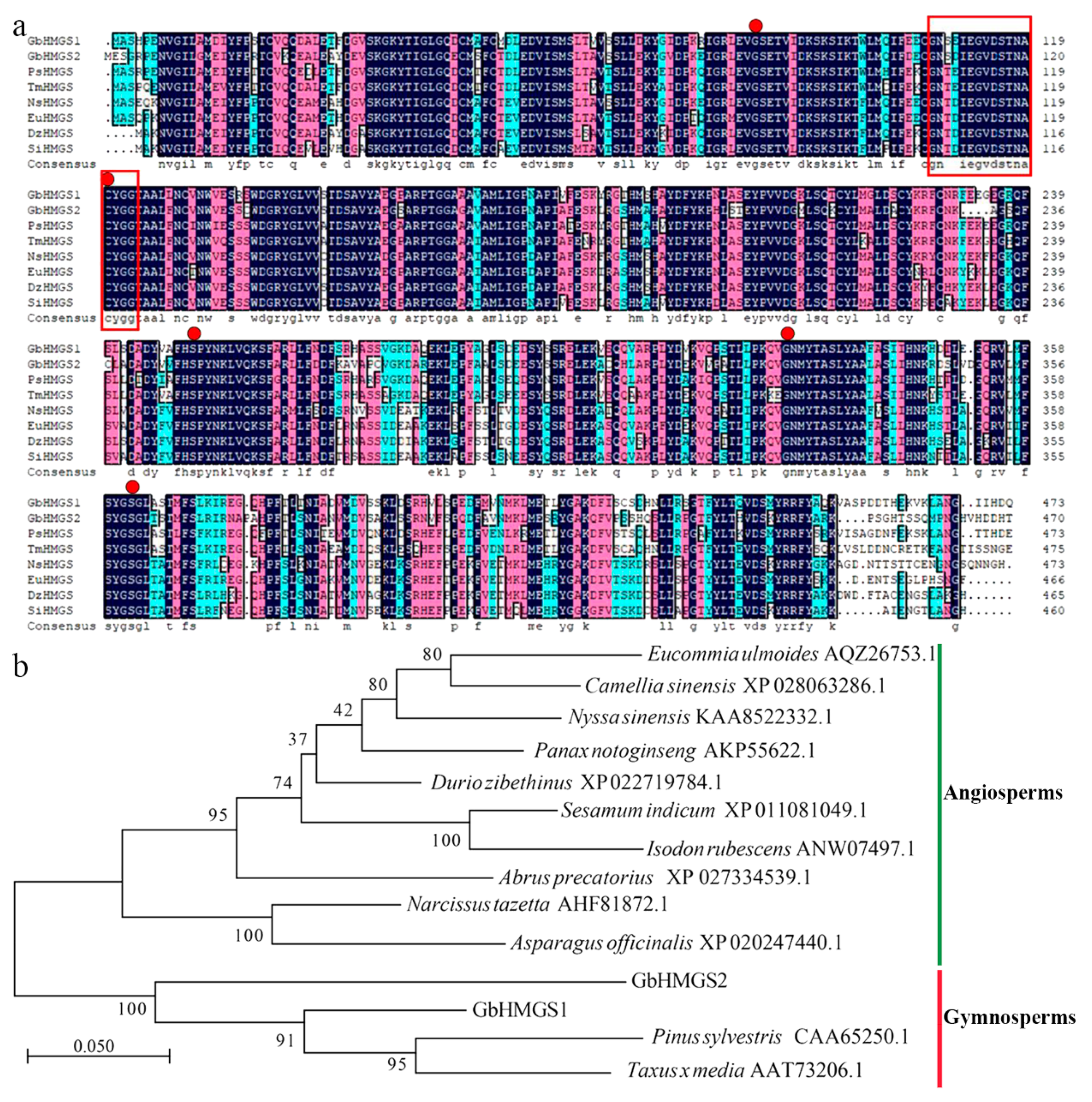 Forests 12 00595 g002