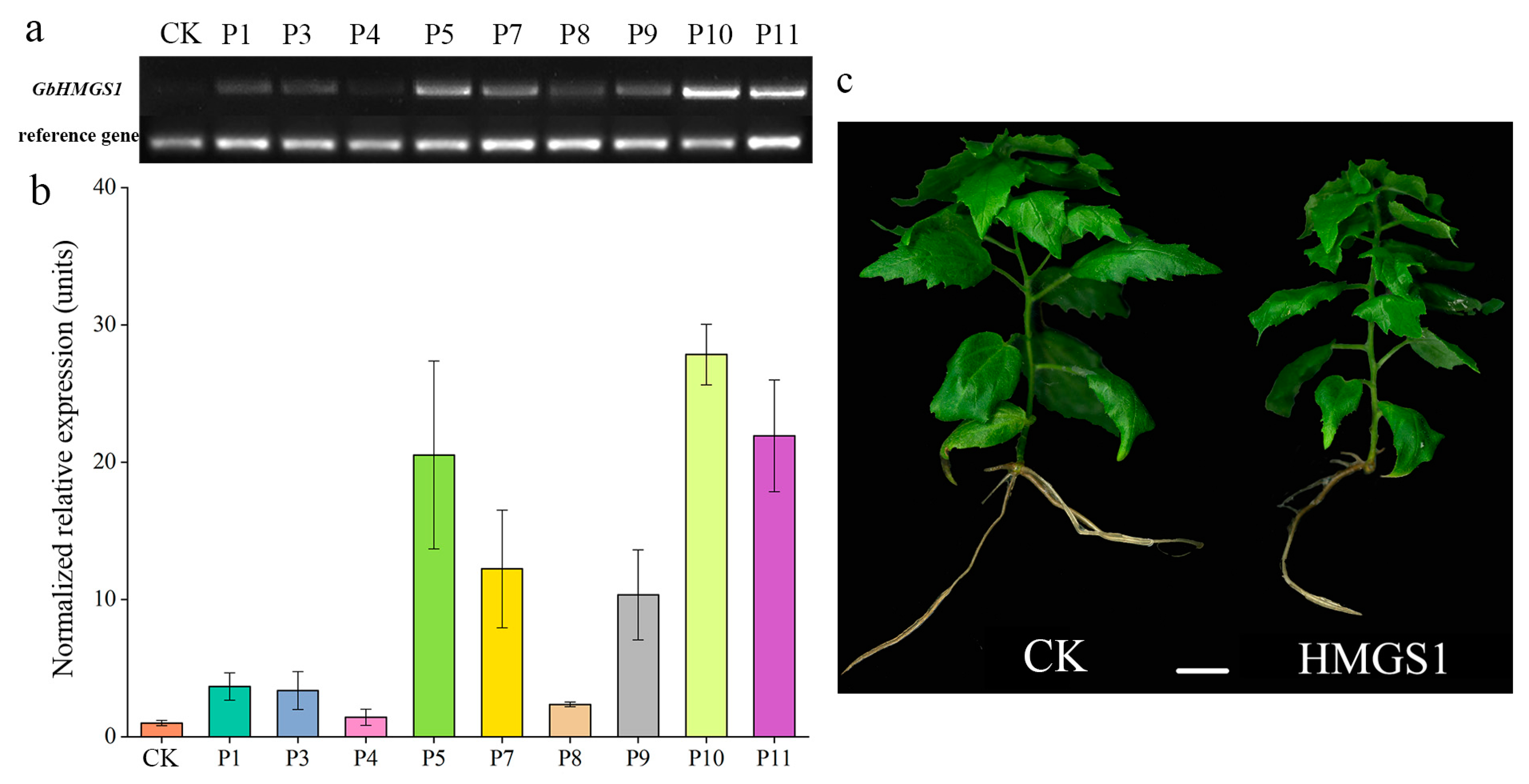 Forests 12 00595 g005