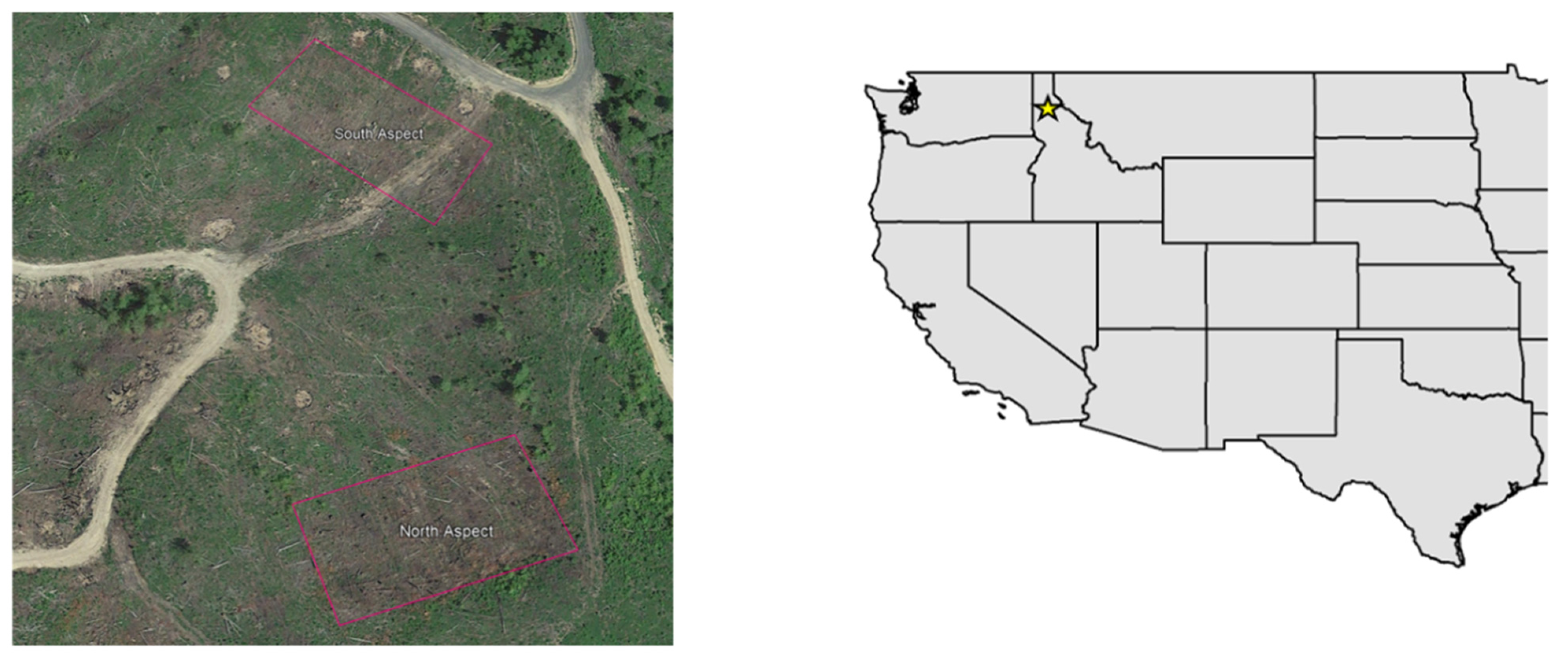 Forests 12 00597 g001 Forests 12 00597 g001