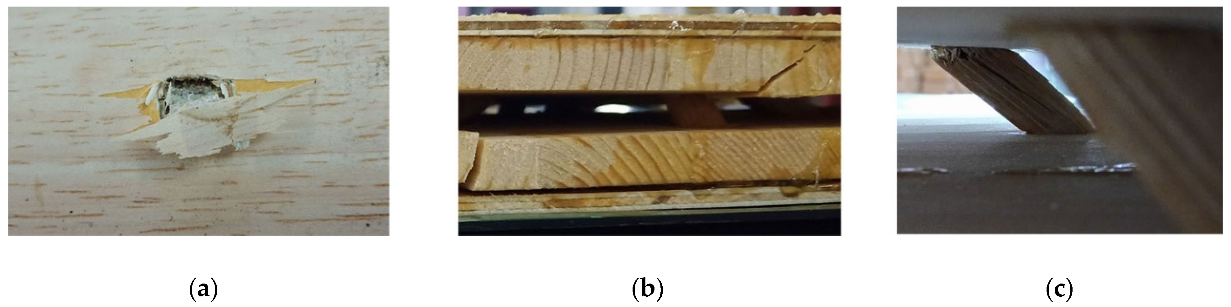 Forests 12 00607 g007 Forests 12 00607 g007