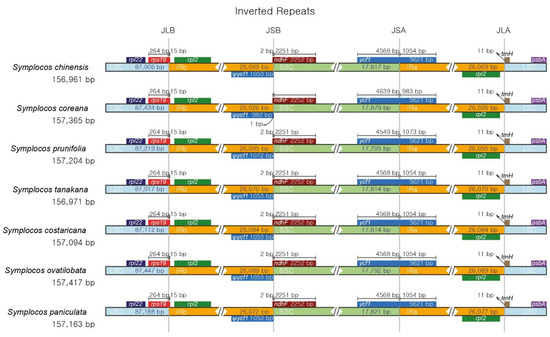 Forests | Free Full-Text | Seven Complete Chloroplast Genomes from 