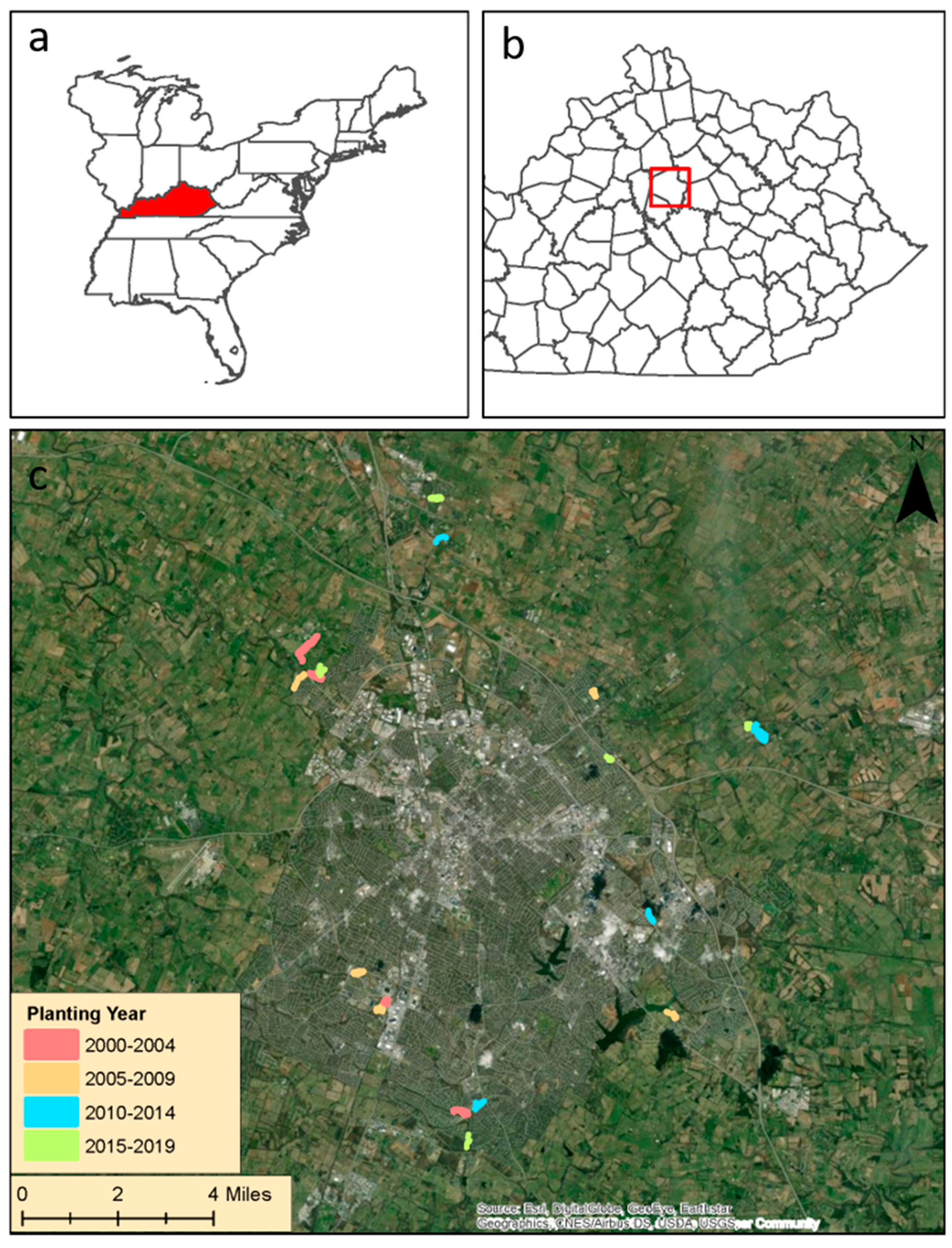 Forests 12 00614 g001 Forests 12 00614 g001
