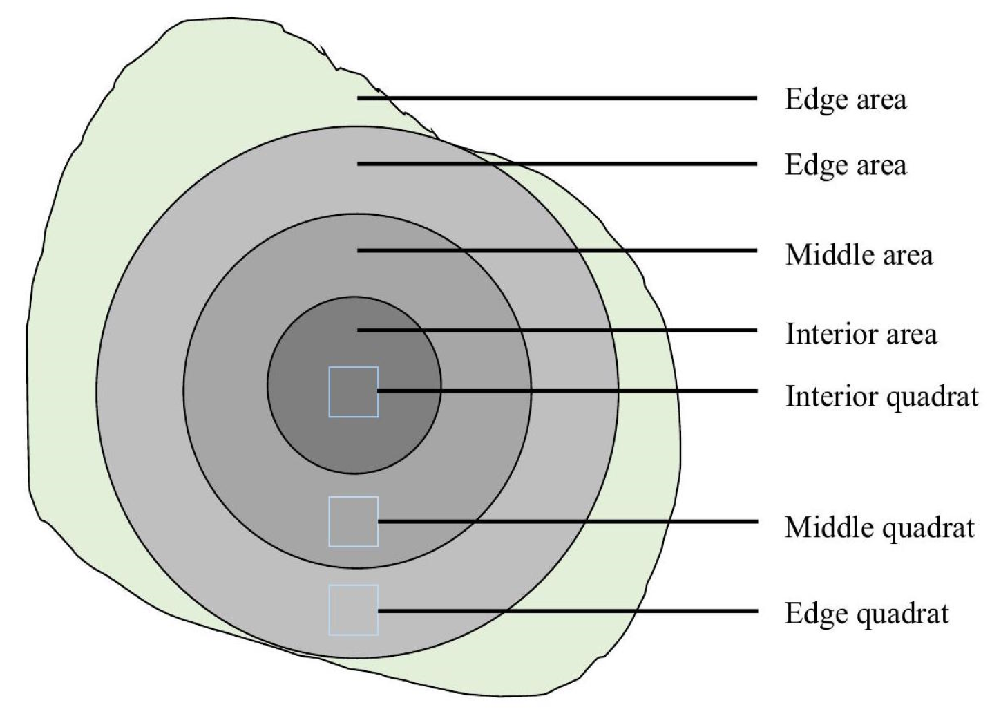 Forests 12 00617 g002