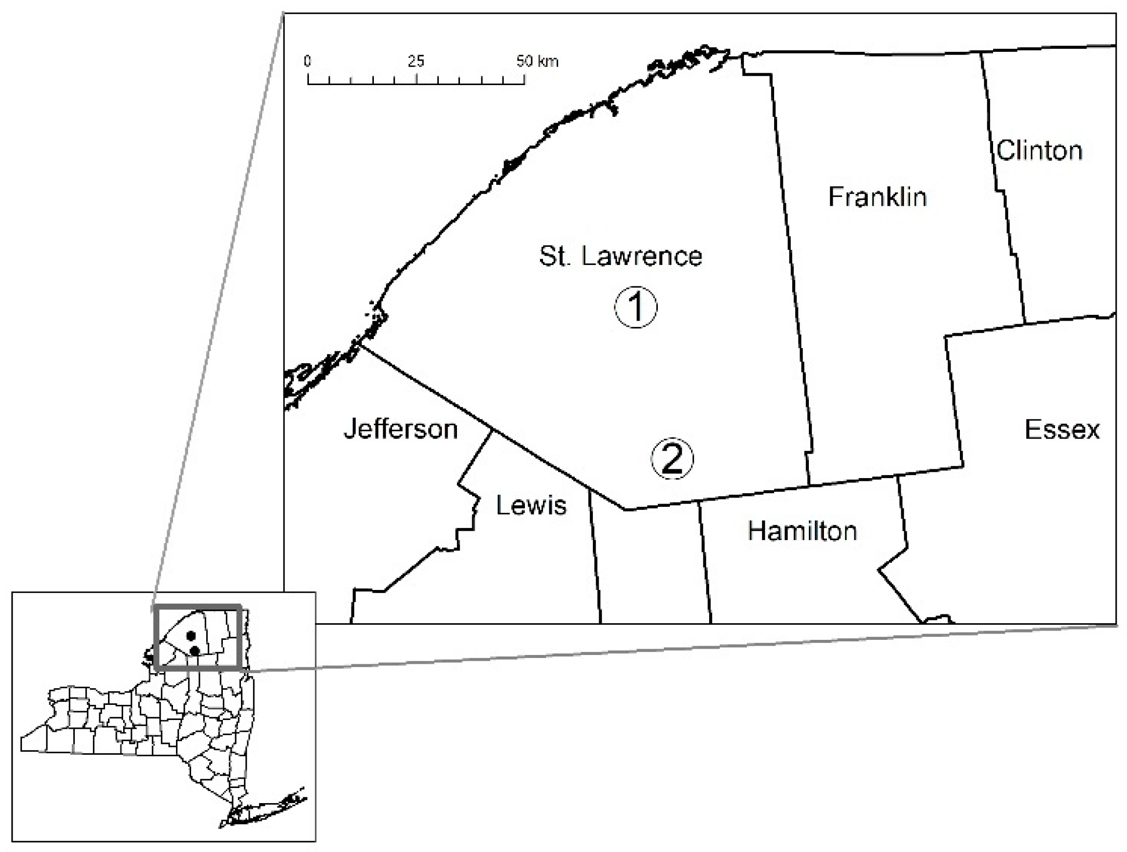 Forests 12 00620 g001