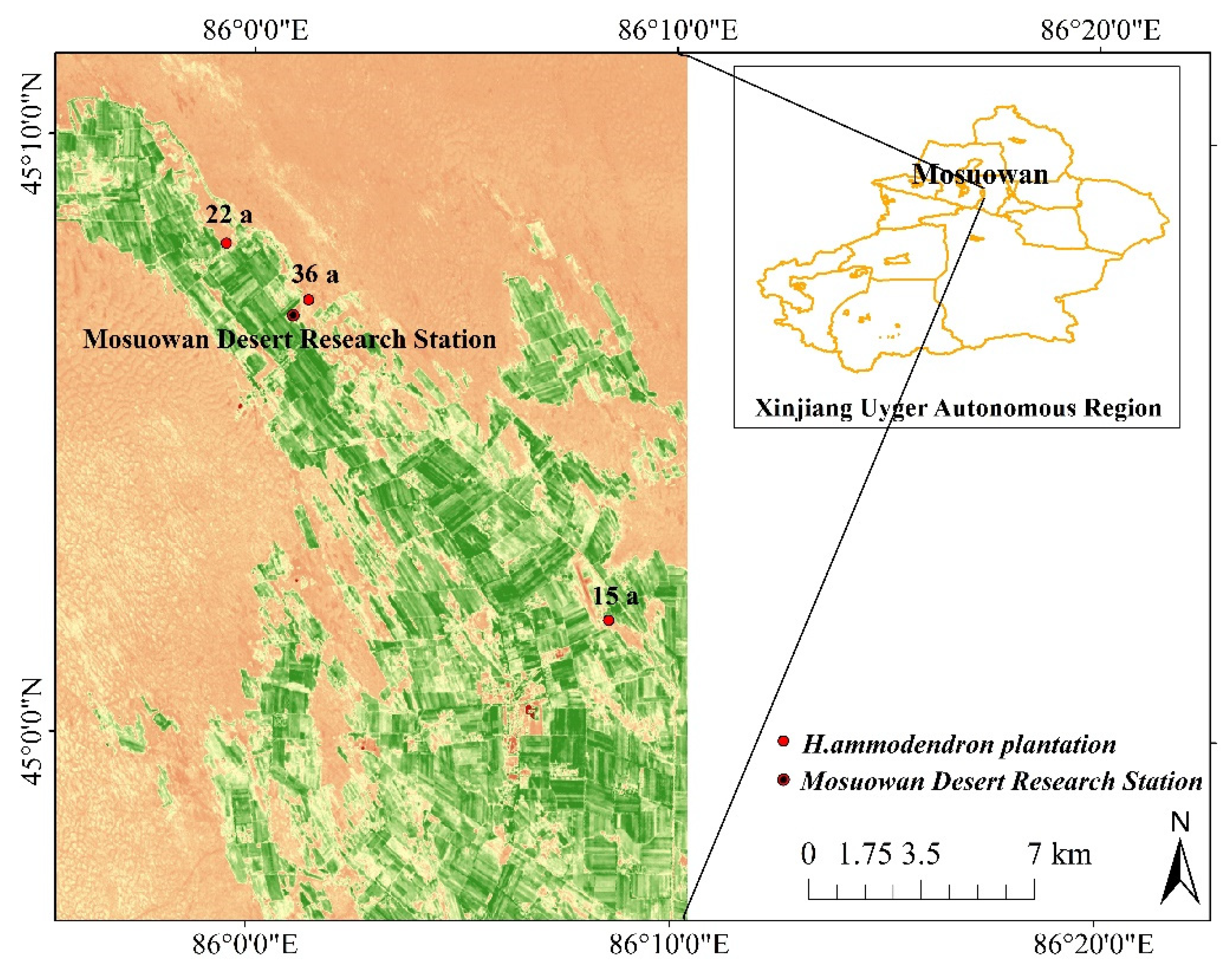 Forests 12 00633 g001 Forests 12 00633 g001