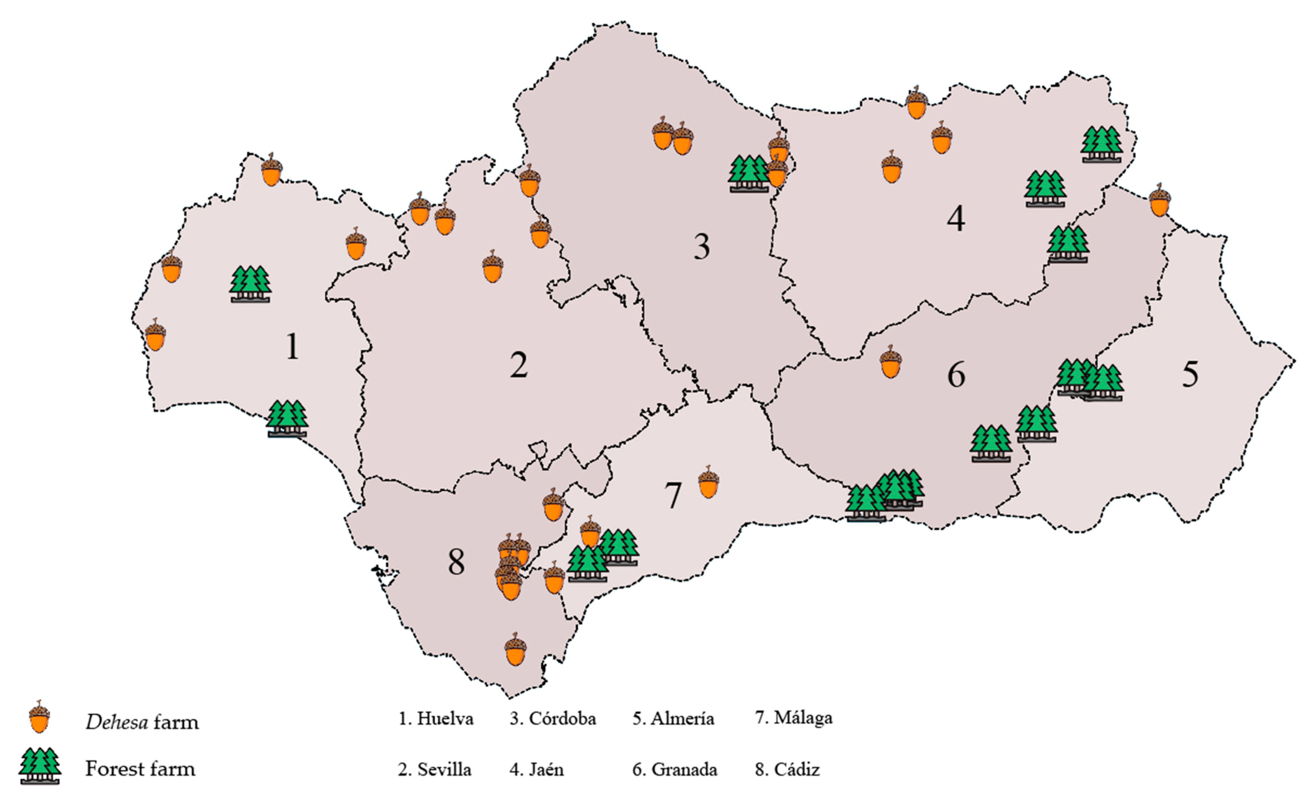 Forests 12 00638 g001