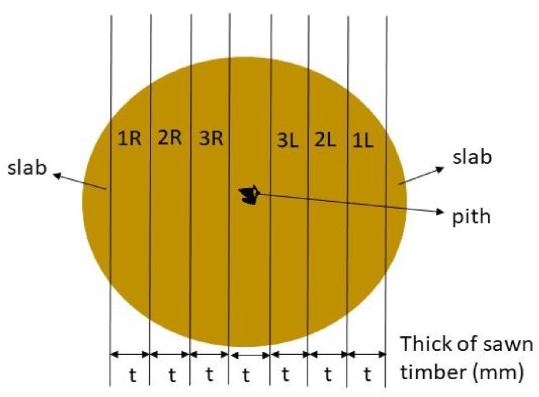 Forests 12 00639 g002